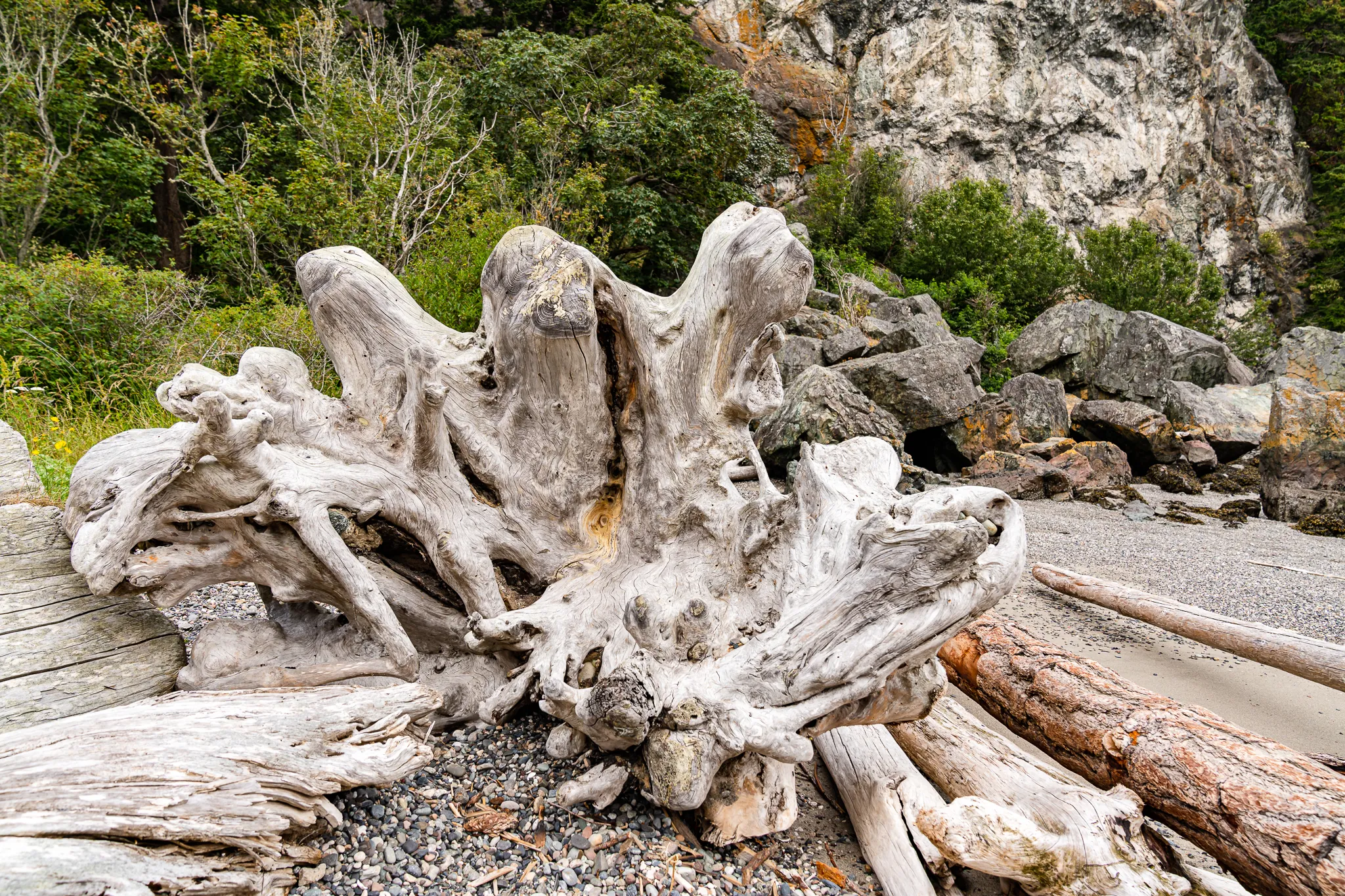Watmough Bay Trail