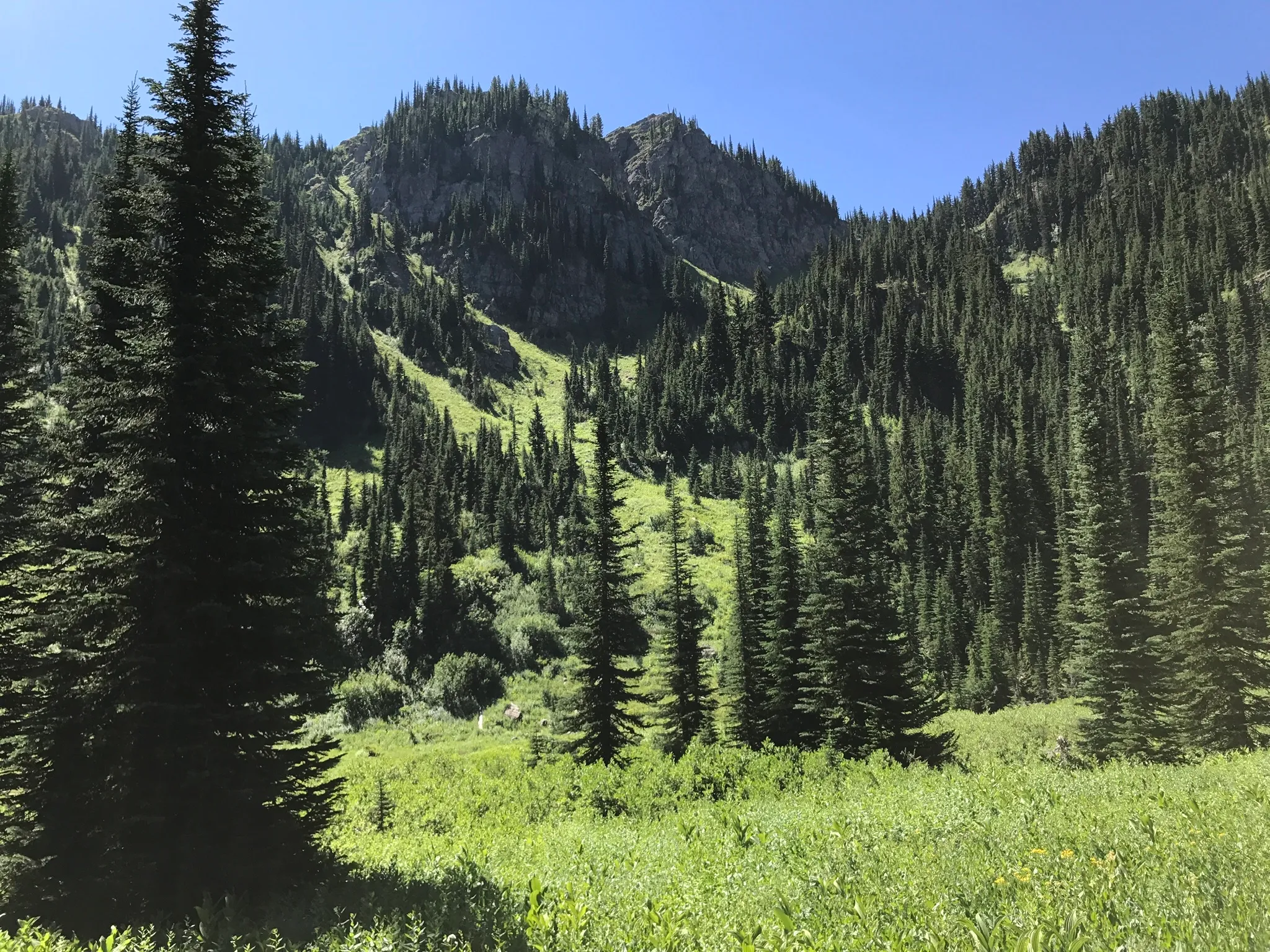 Saint Regis Lakes