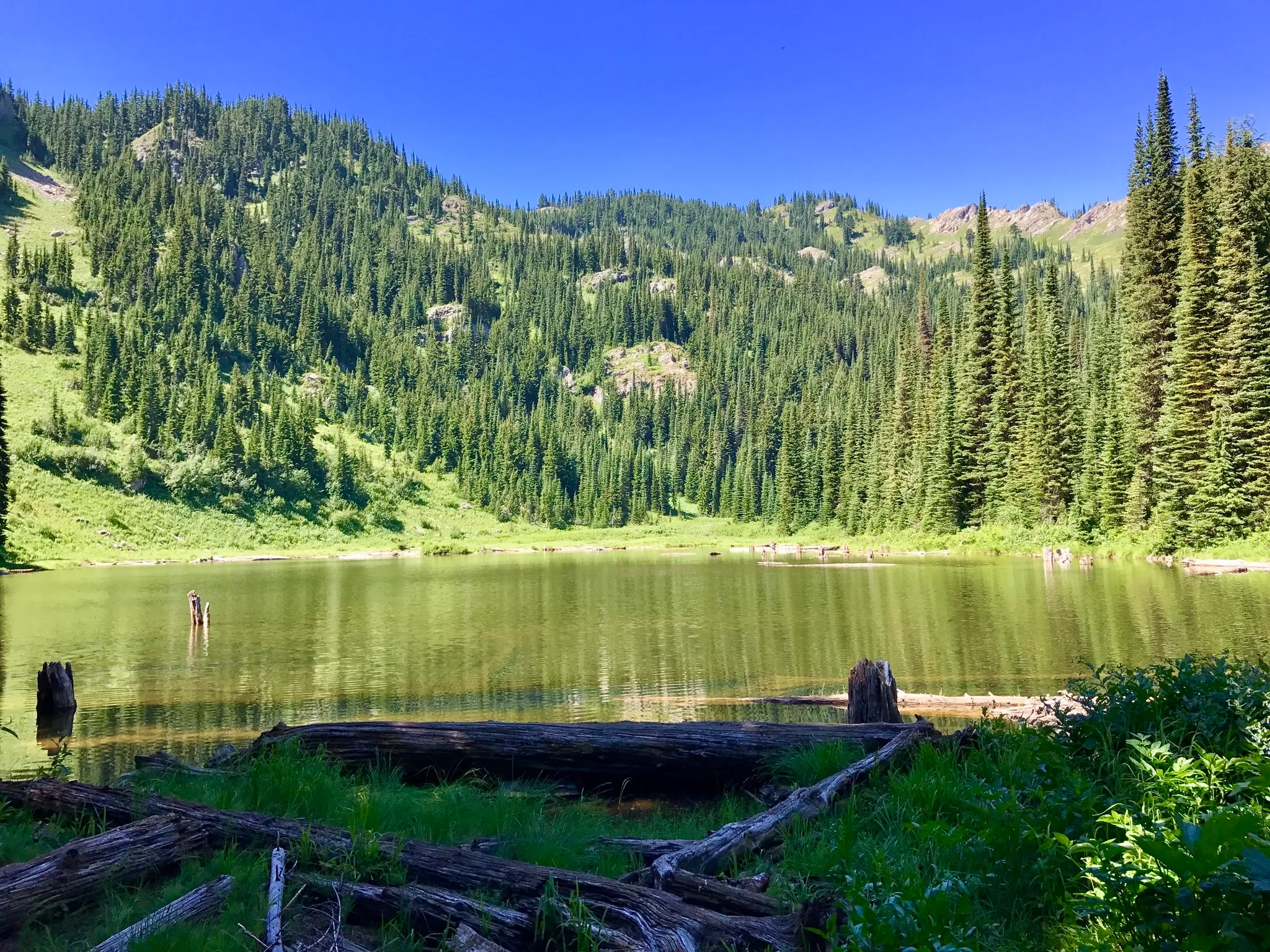 Saint Regis Lakes