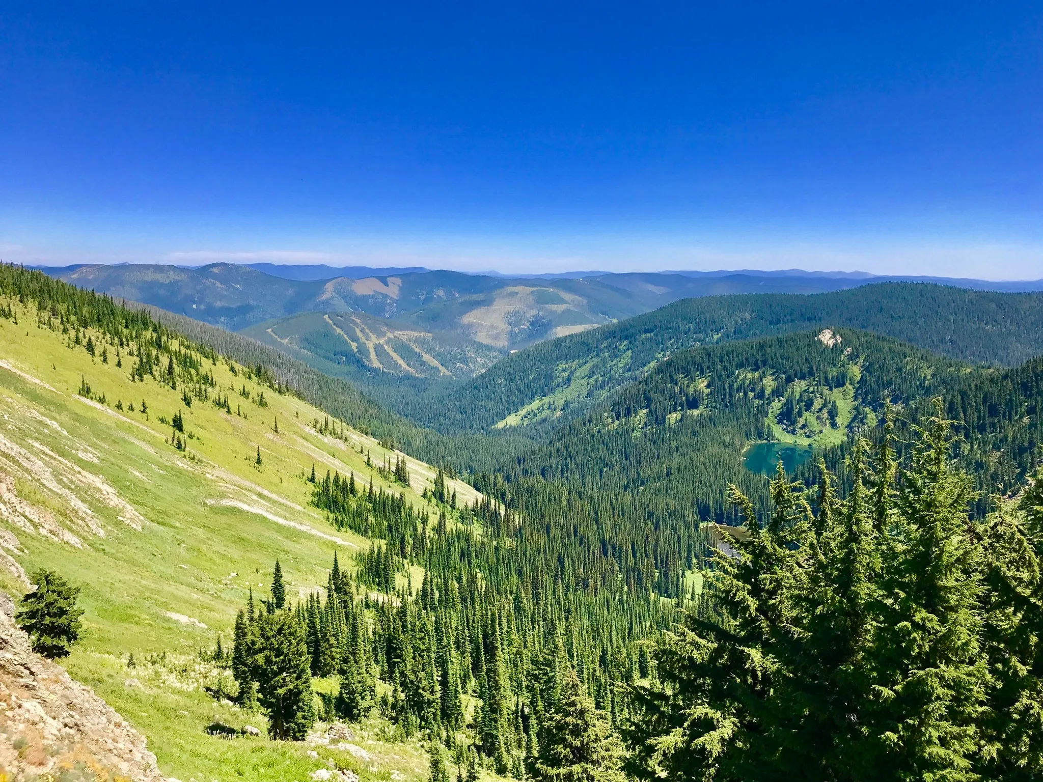 Saint Regis Lakes