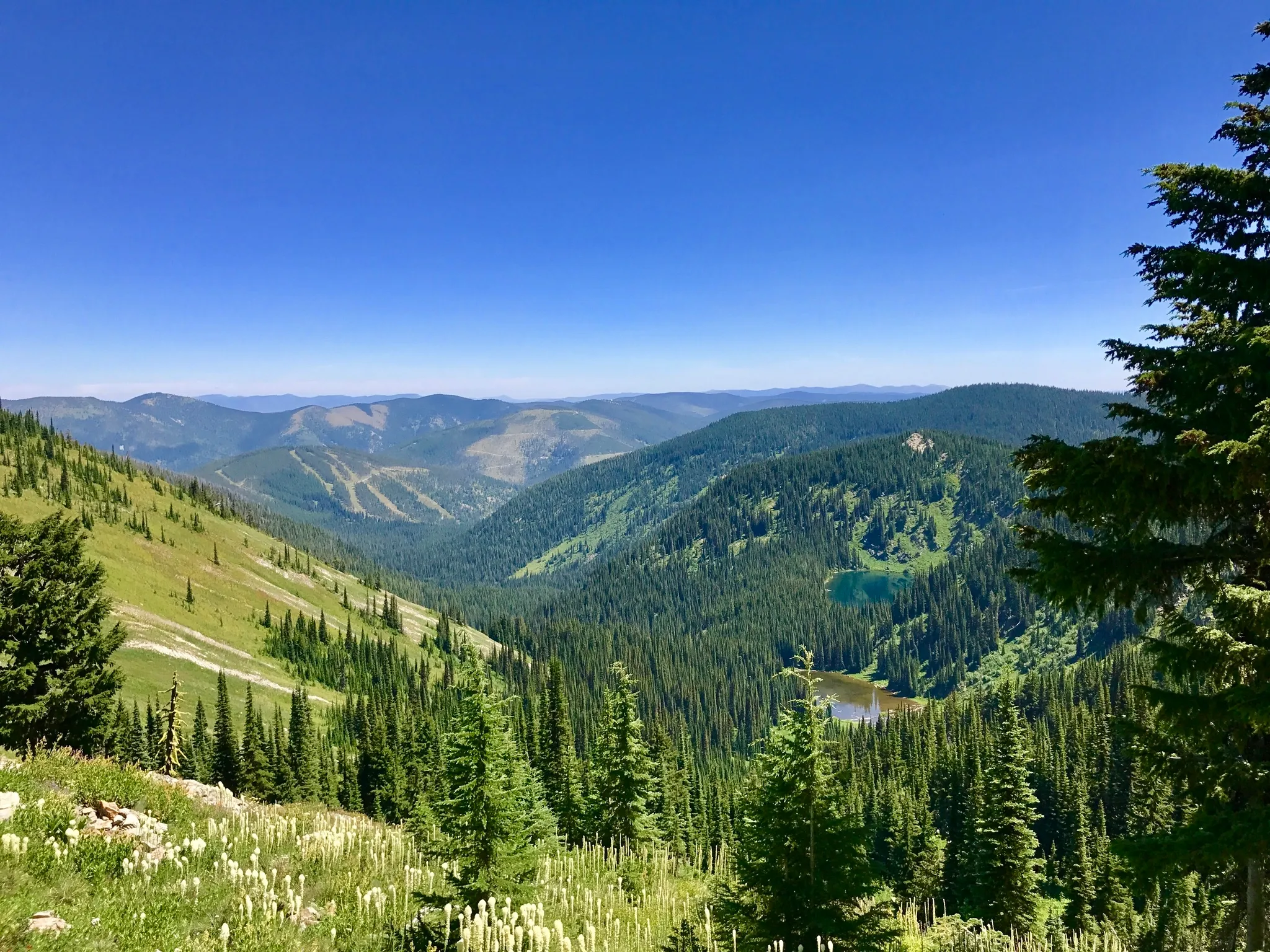Saint Regis Lakes