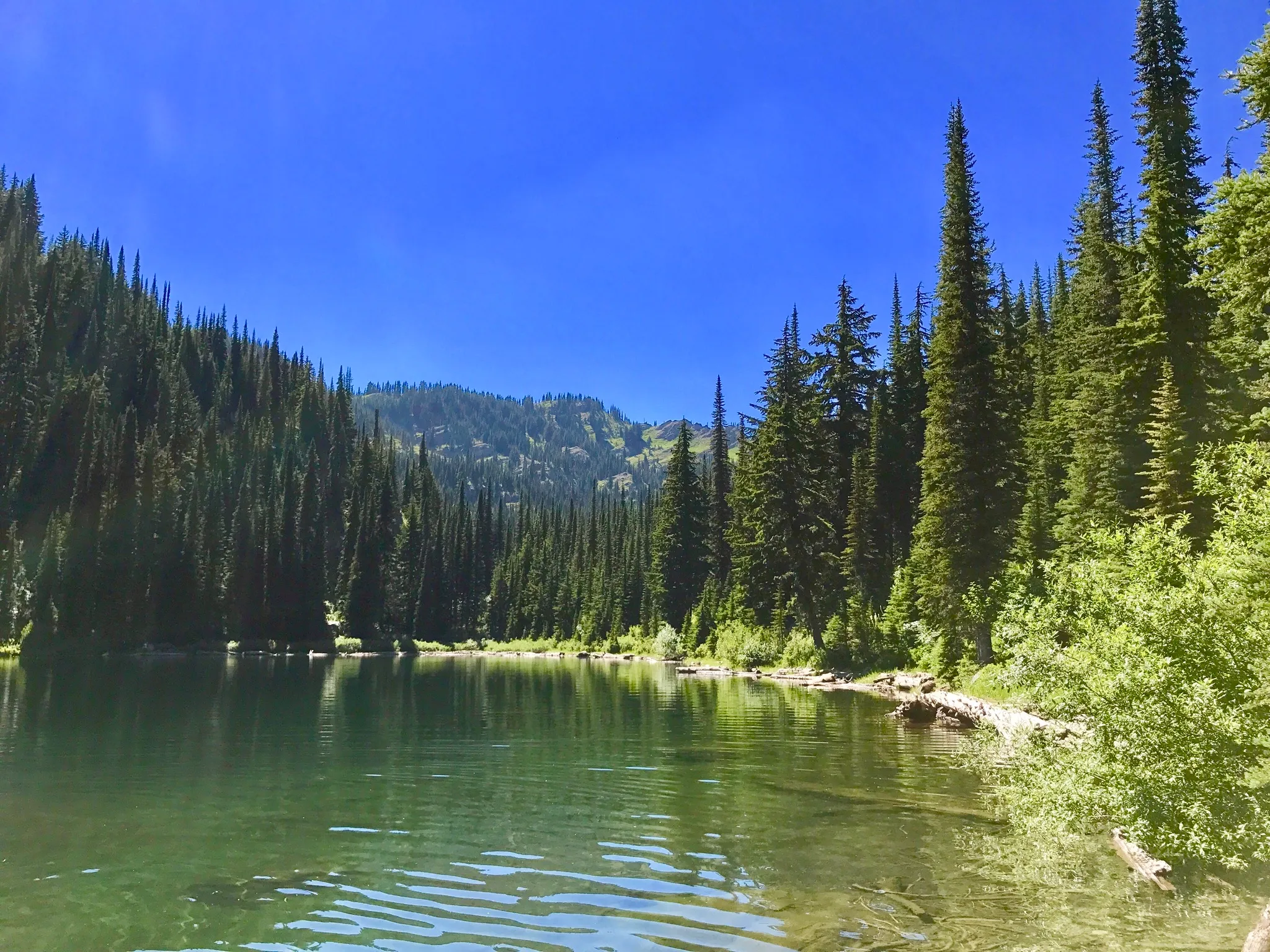Saint Regis Lakes