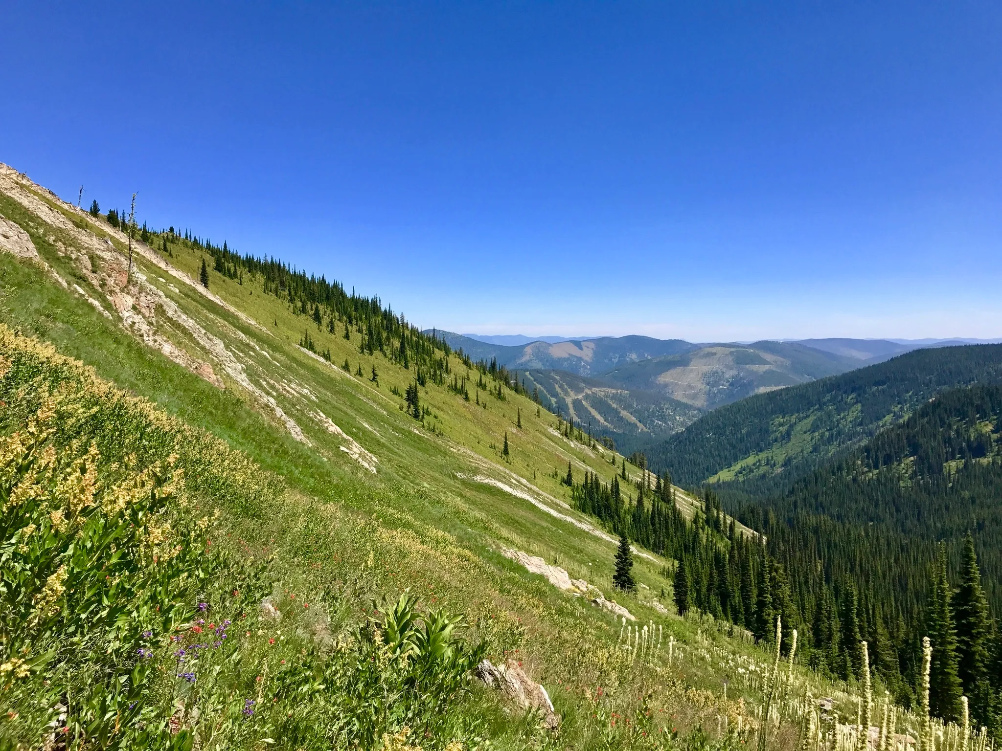 Saint Regis Lakes