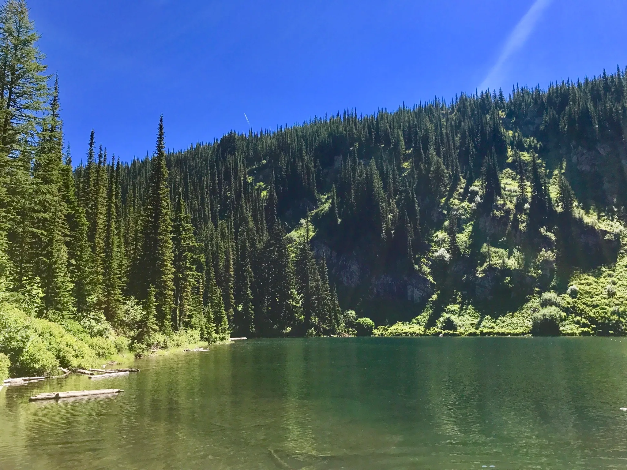 Saint Regis Lakes