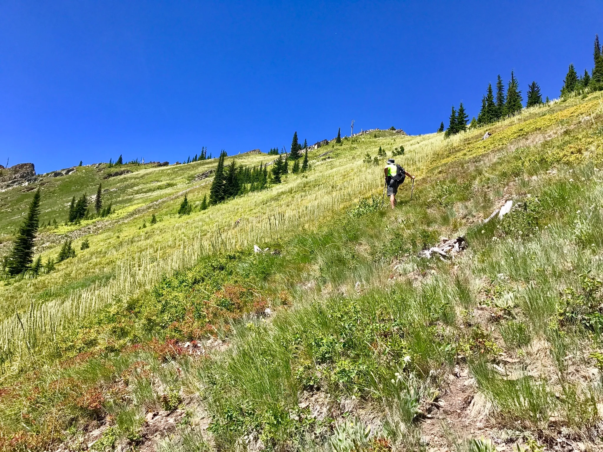 Saint Regis Lakes