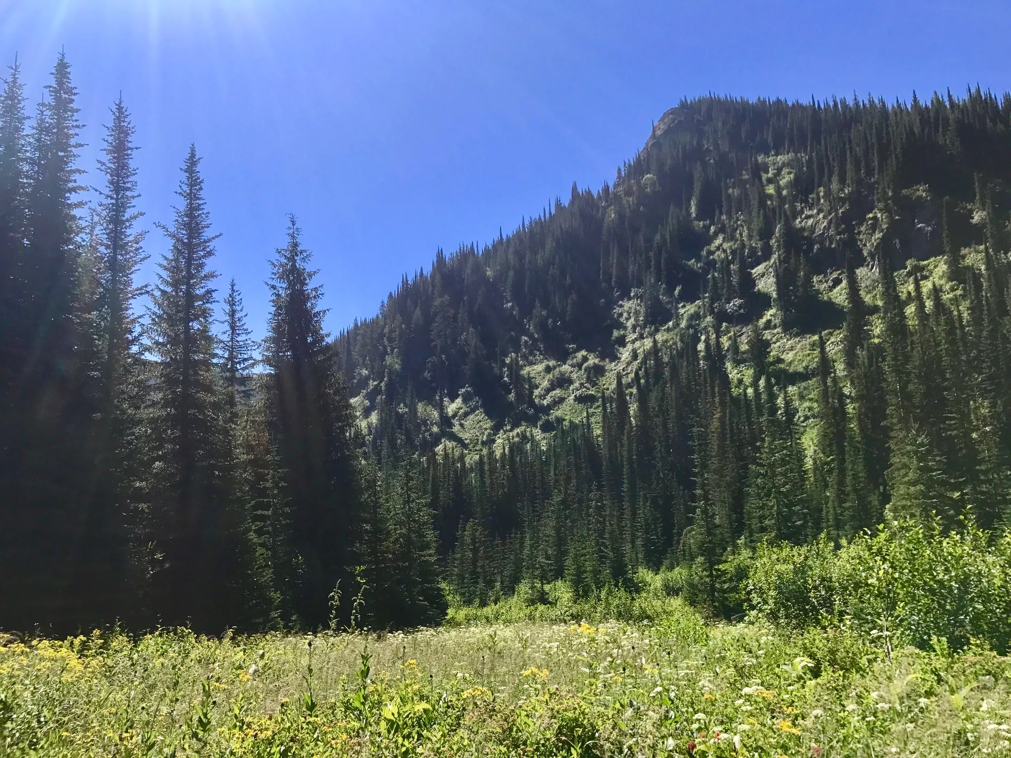 Saint Regis Lakes