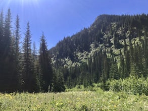 Saint Regis Lakes