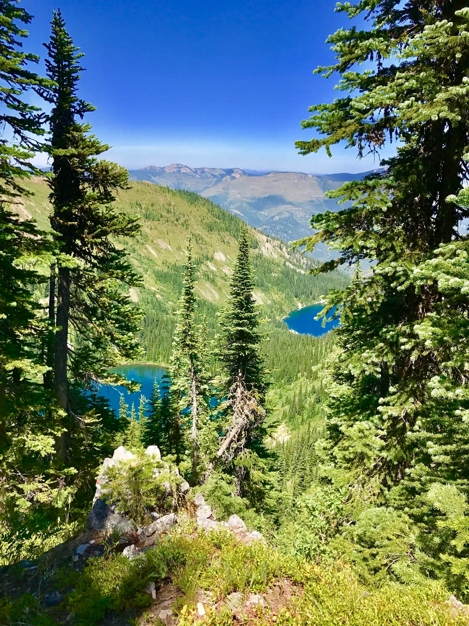 Saint Regis Lakes