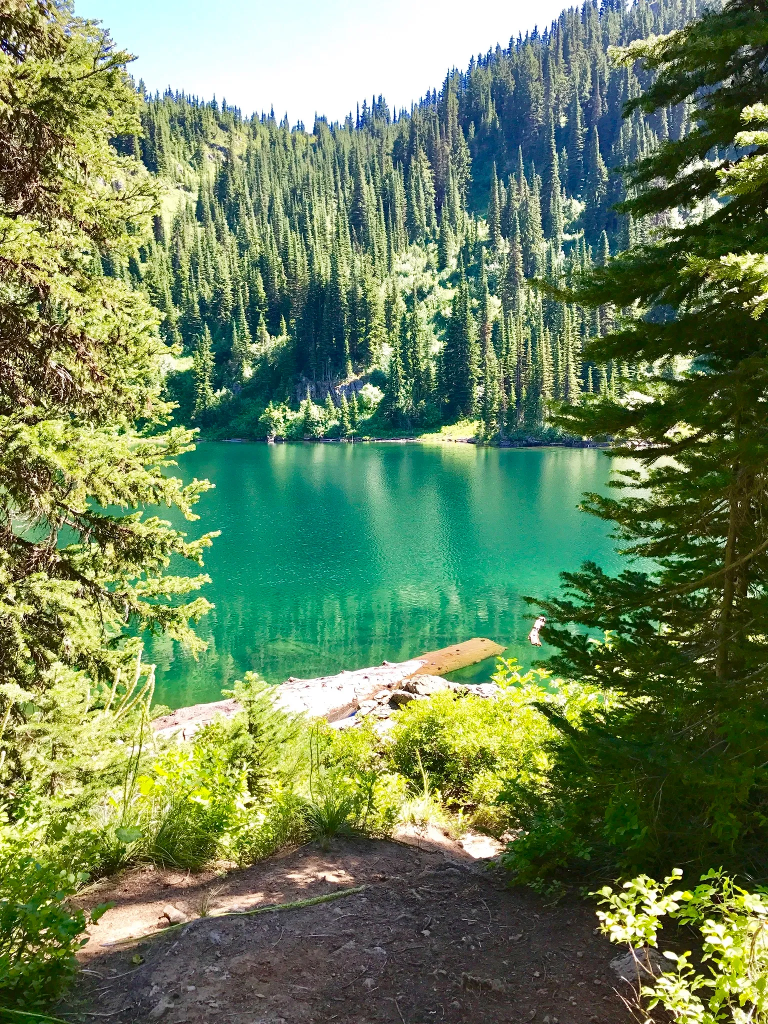 Saint Regis Lakes