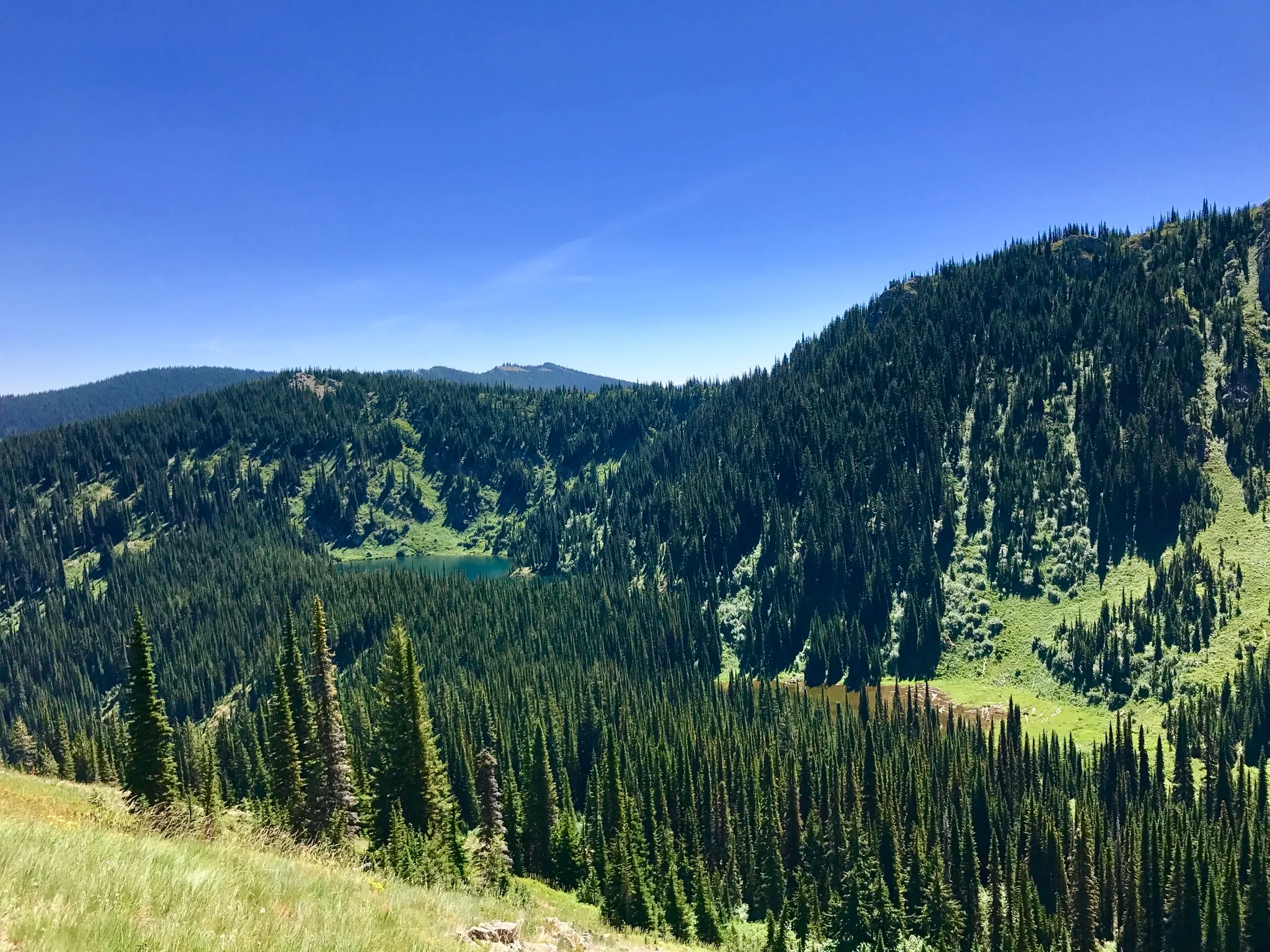 Saint Regis Lakes