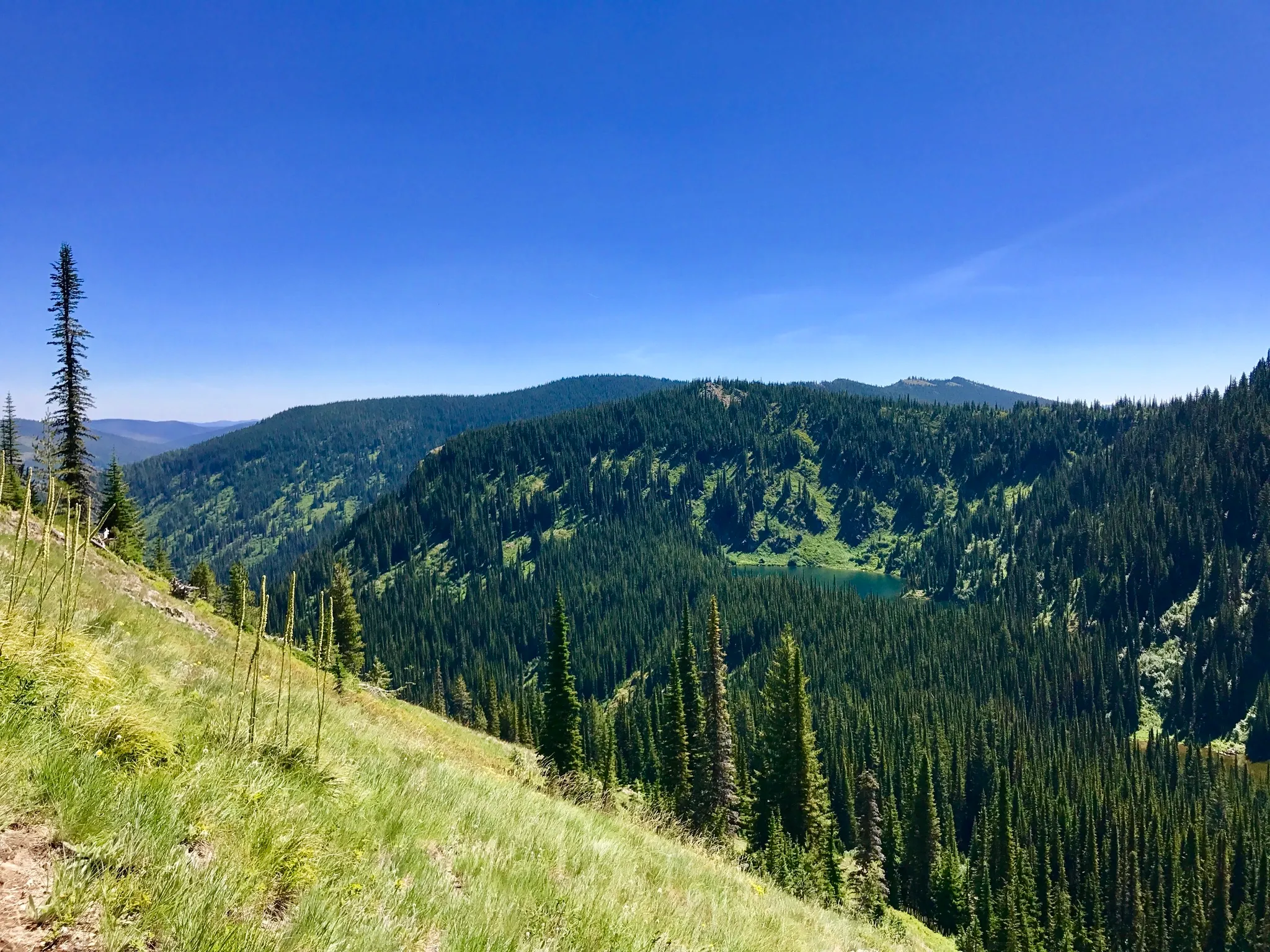 Saint Regis Lakes