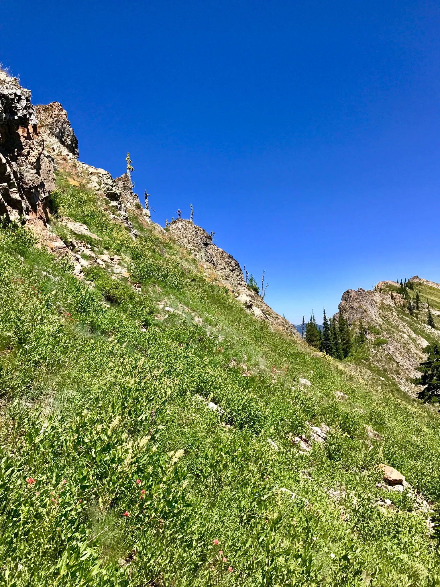 Saint Regis Lakes