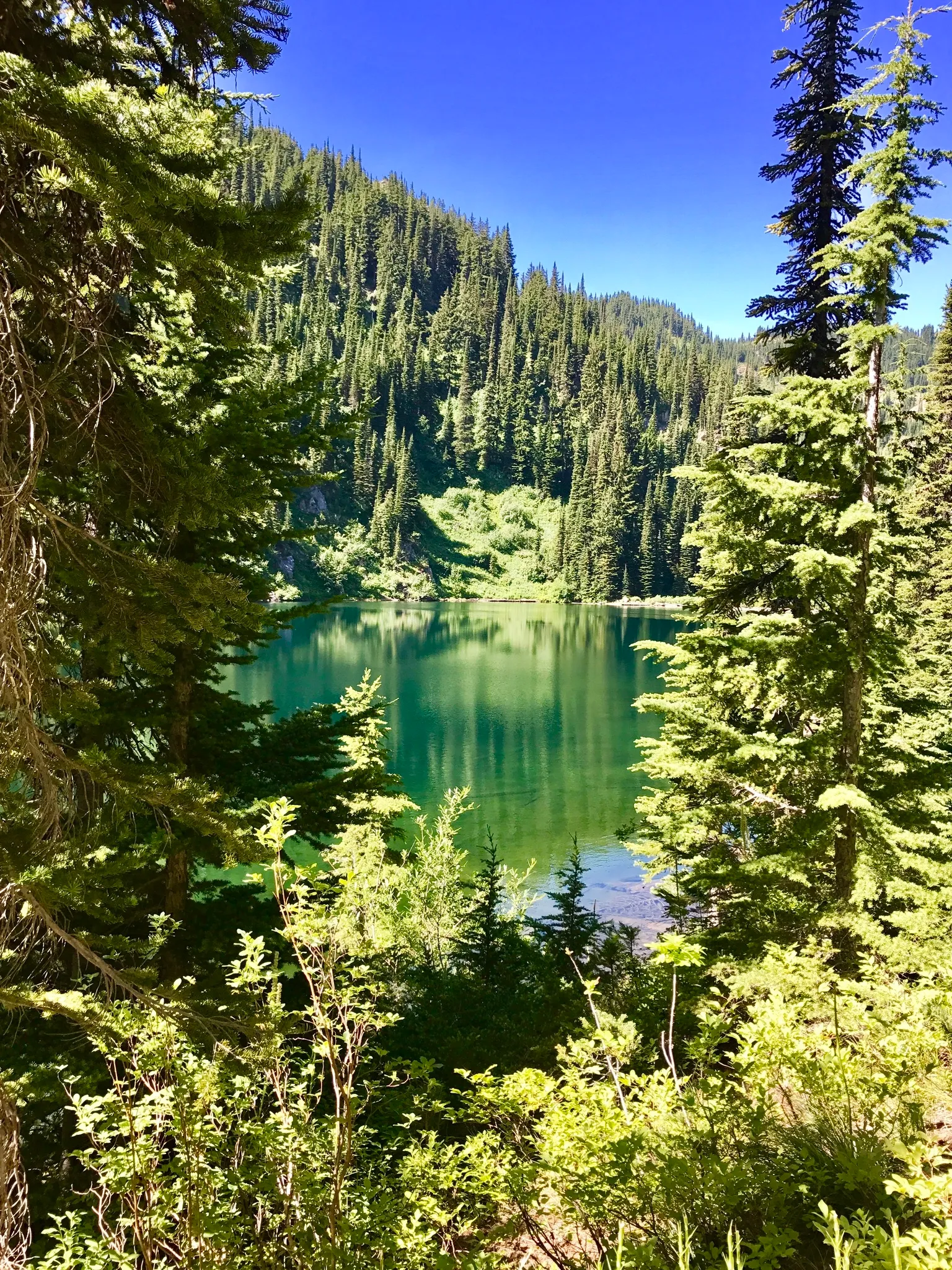 Saint Regis Lakes