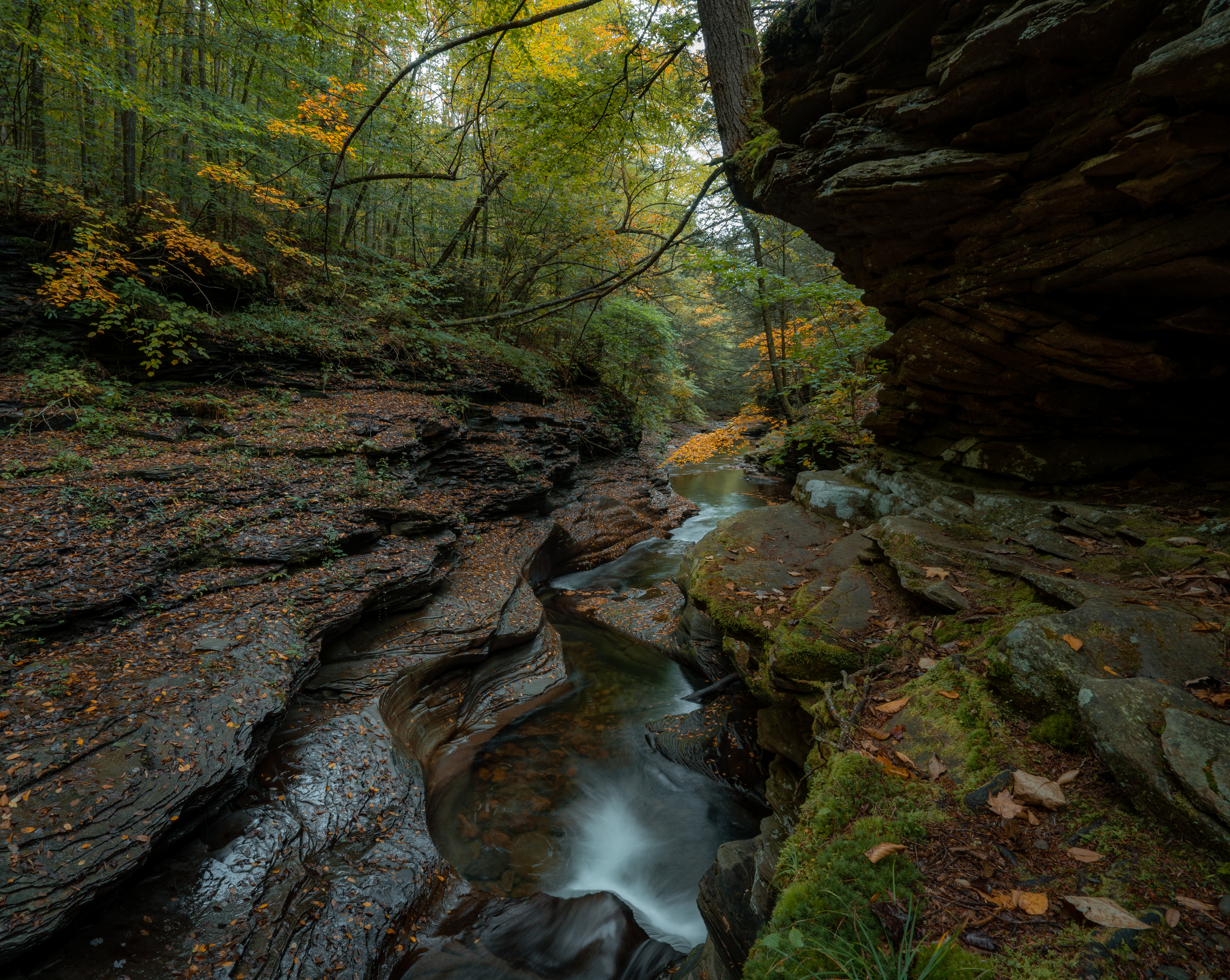 Explore Rock Run