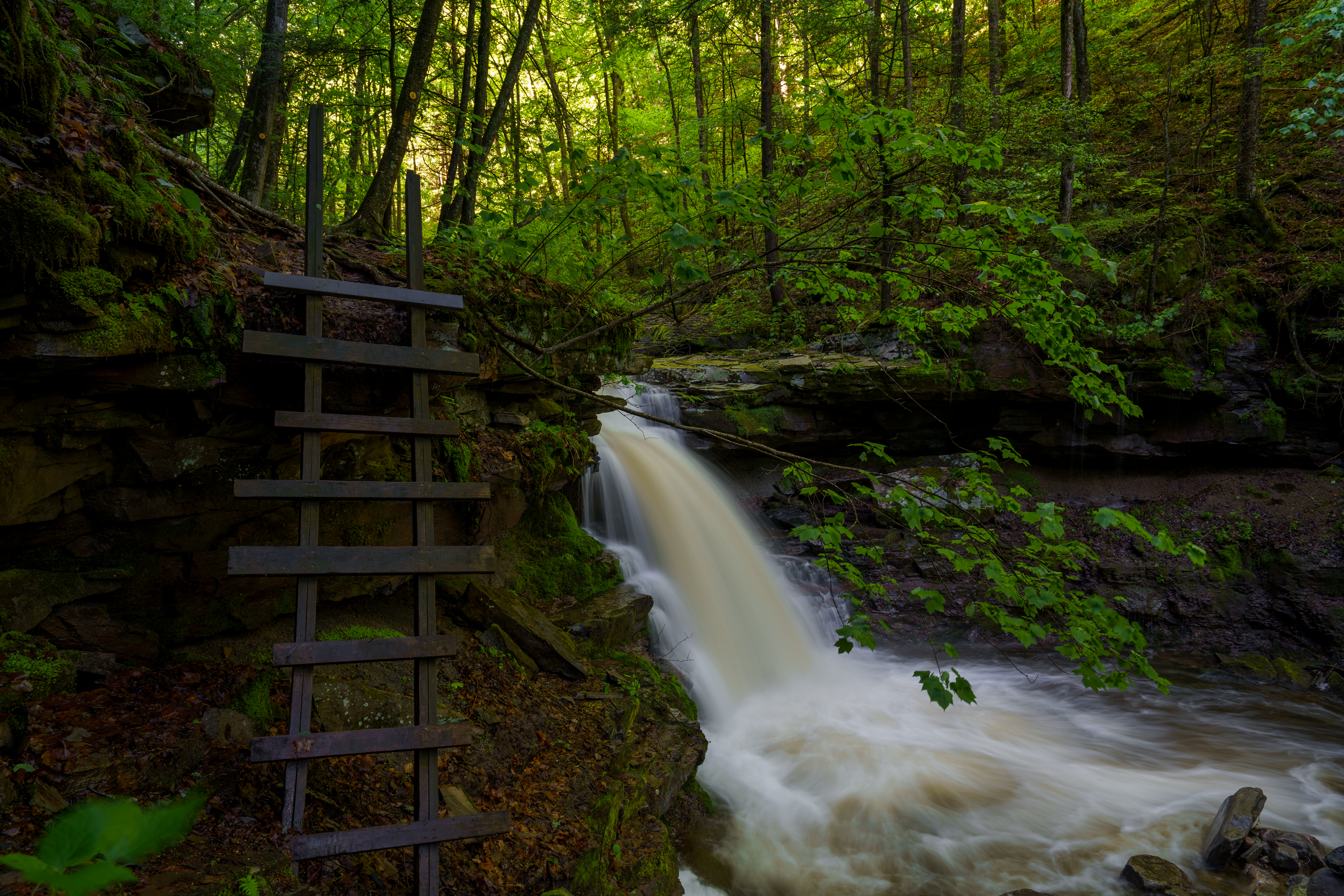 Loyalsock Trail