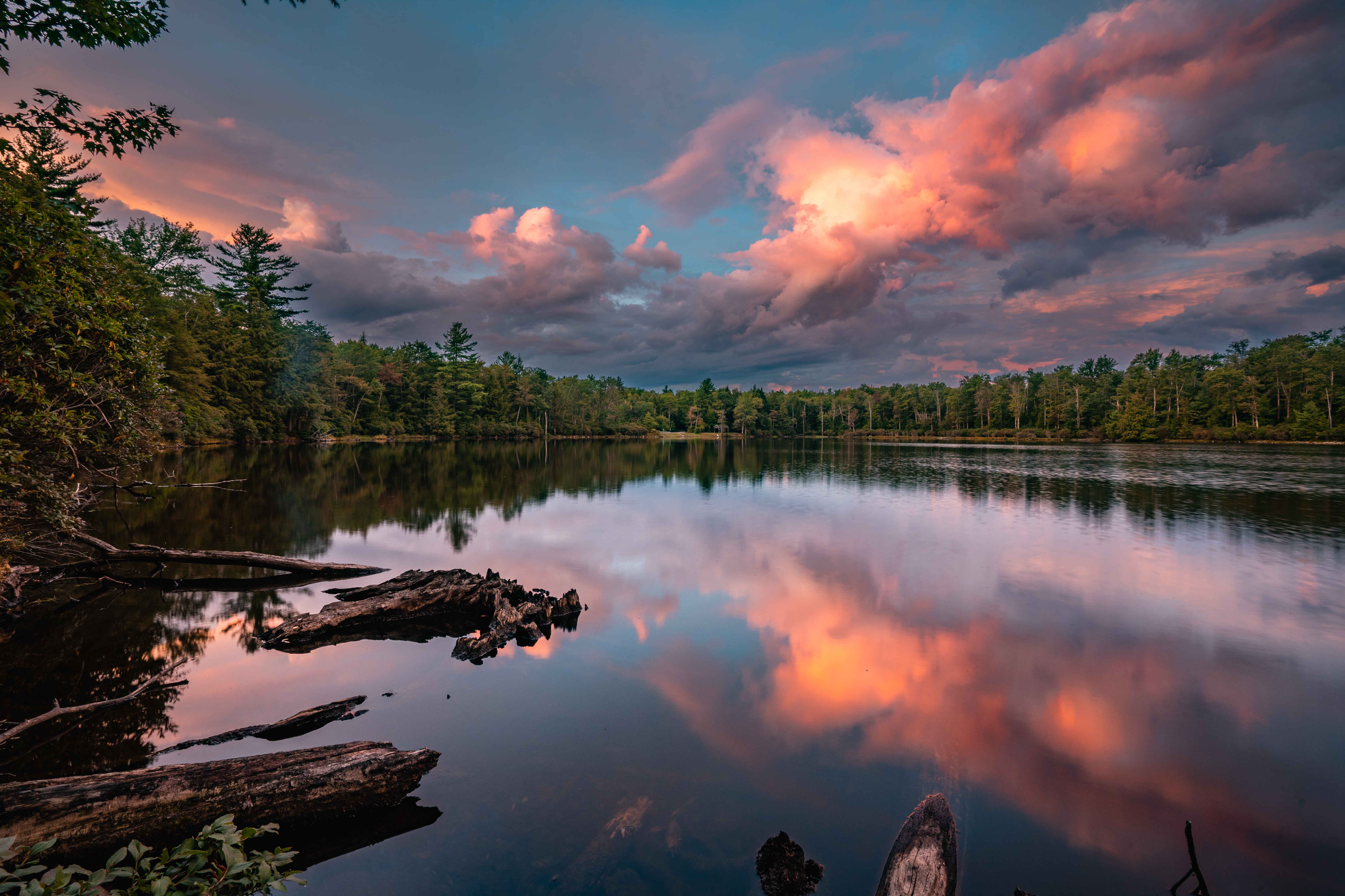 Loyalsock Trail