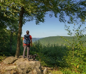Old Loggers Path