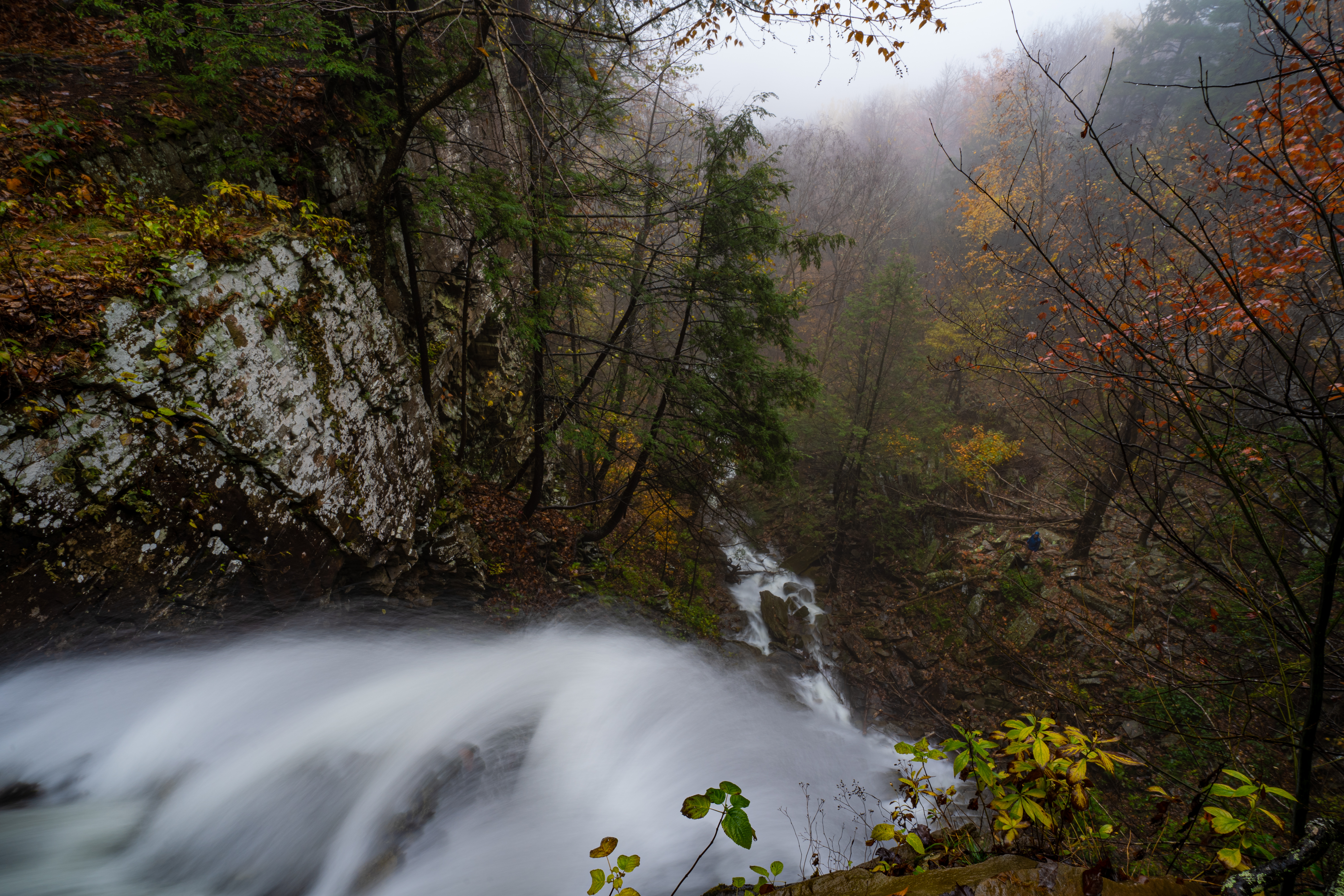 Loyalsock Trail