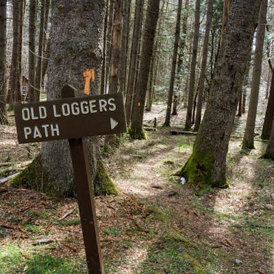 Old Loggers Path