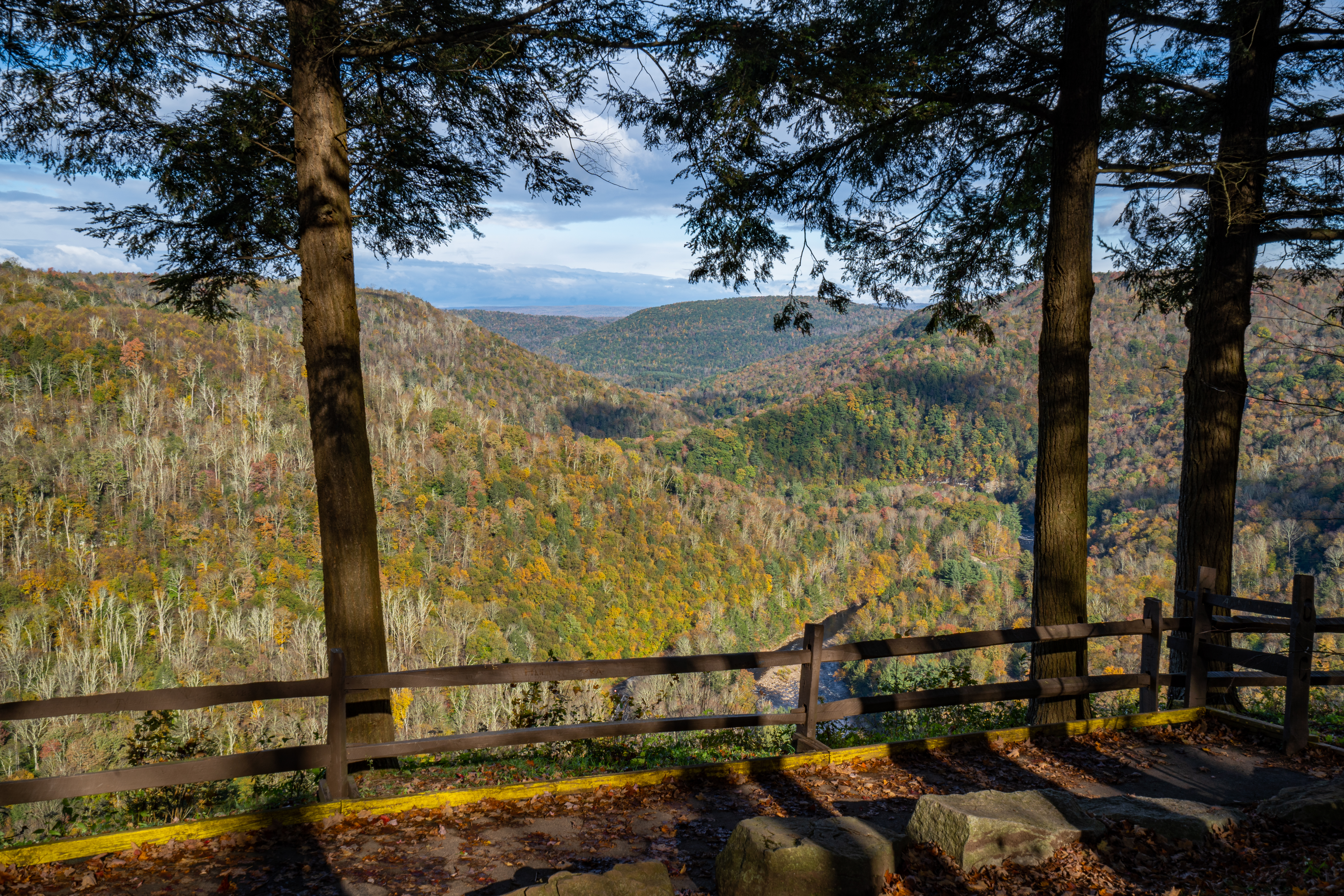 Loyalsock Trail