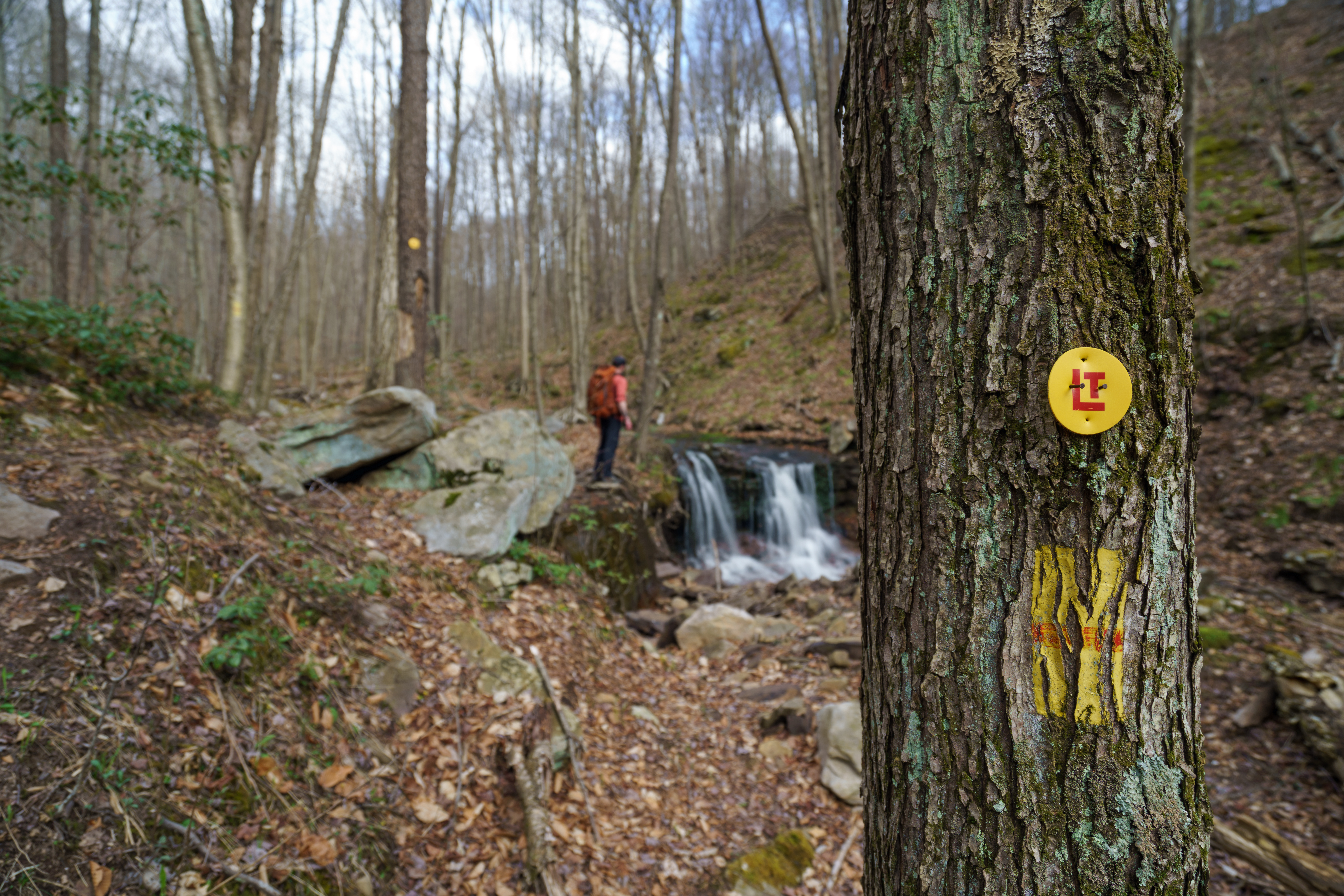 Loyalsock Trail
