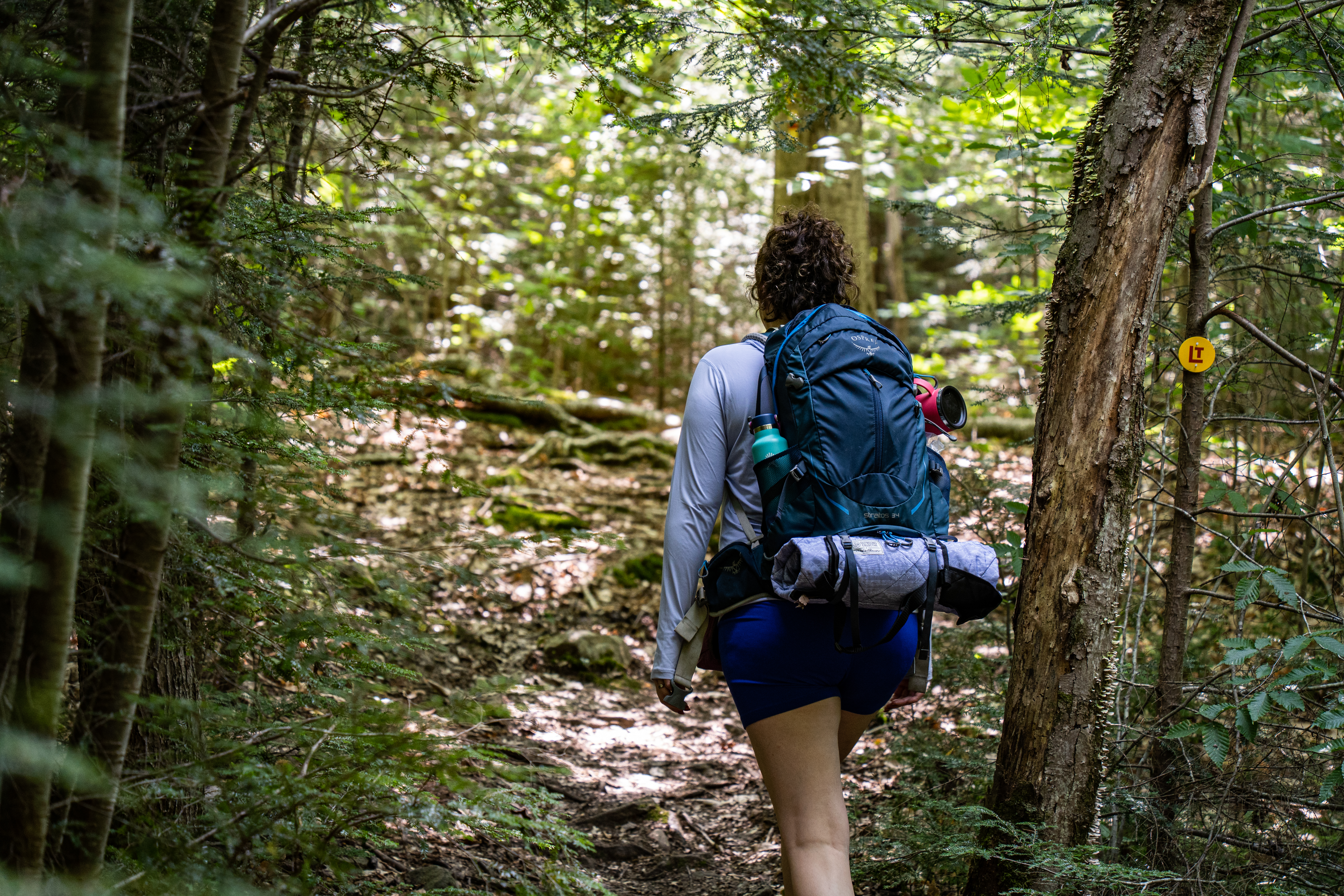 Loyalsock Trail