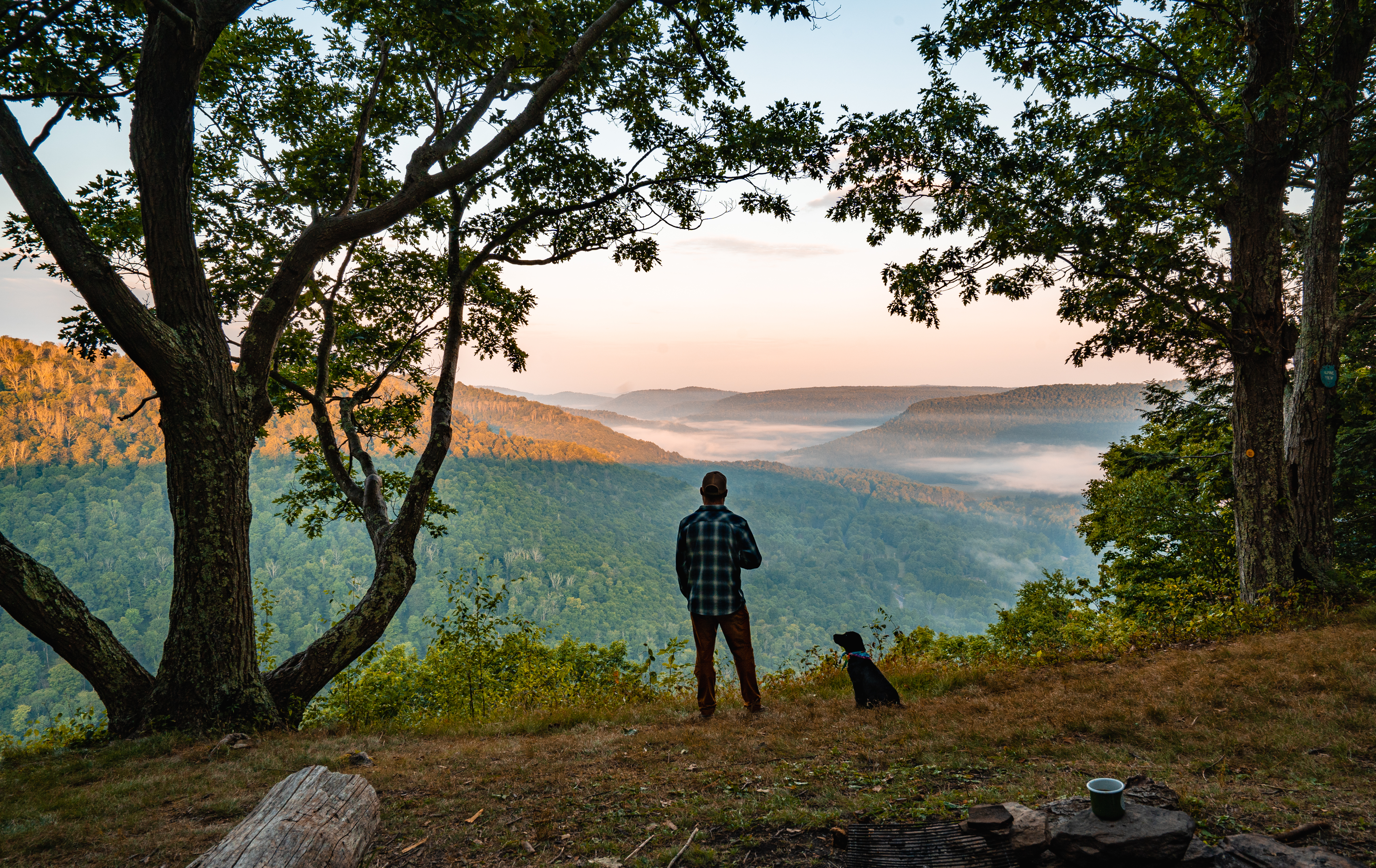 Loyalsock Trail