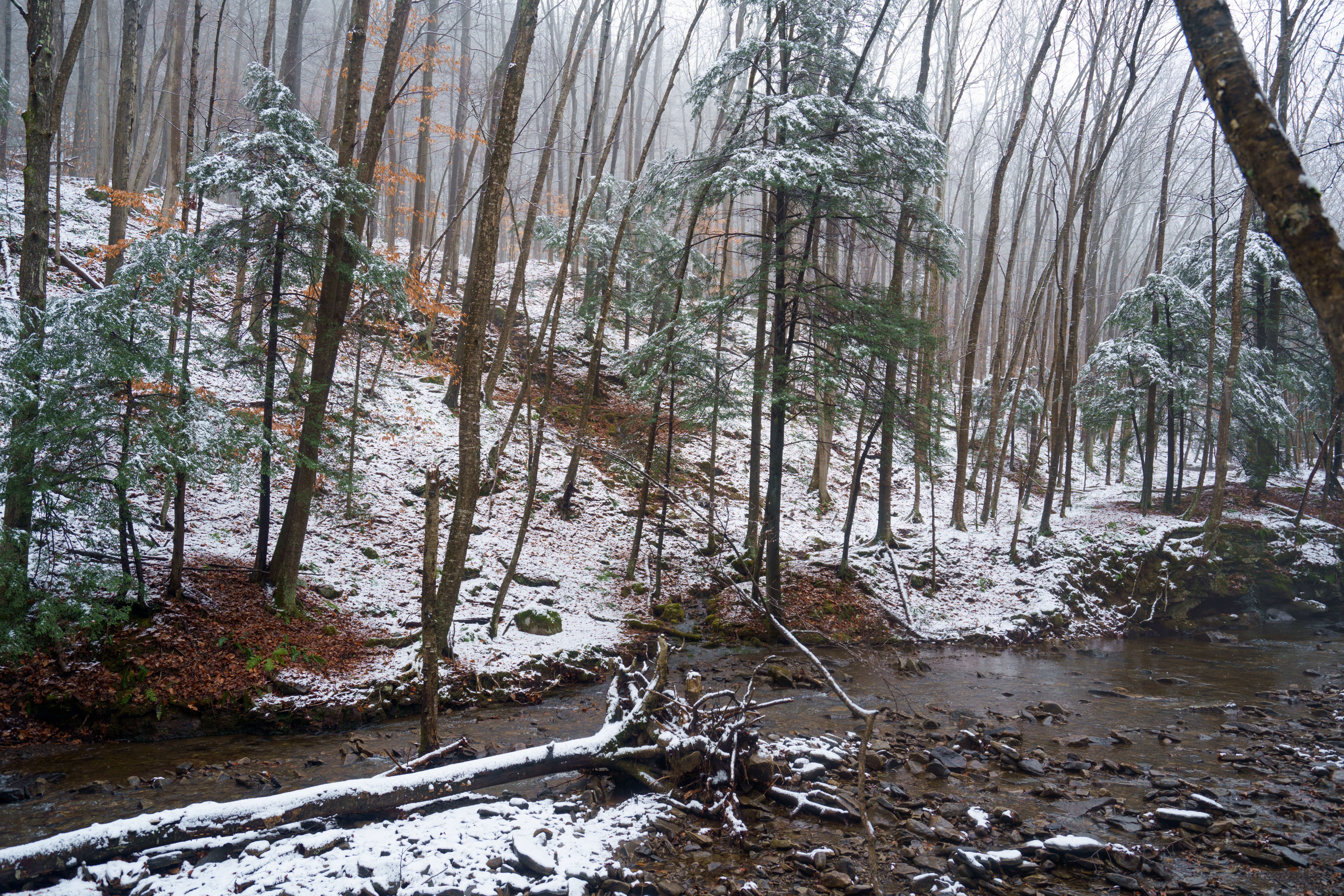 Double Run Nature Trail