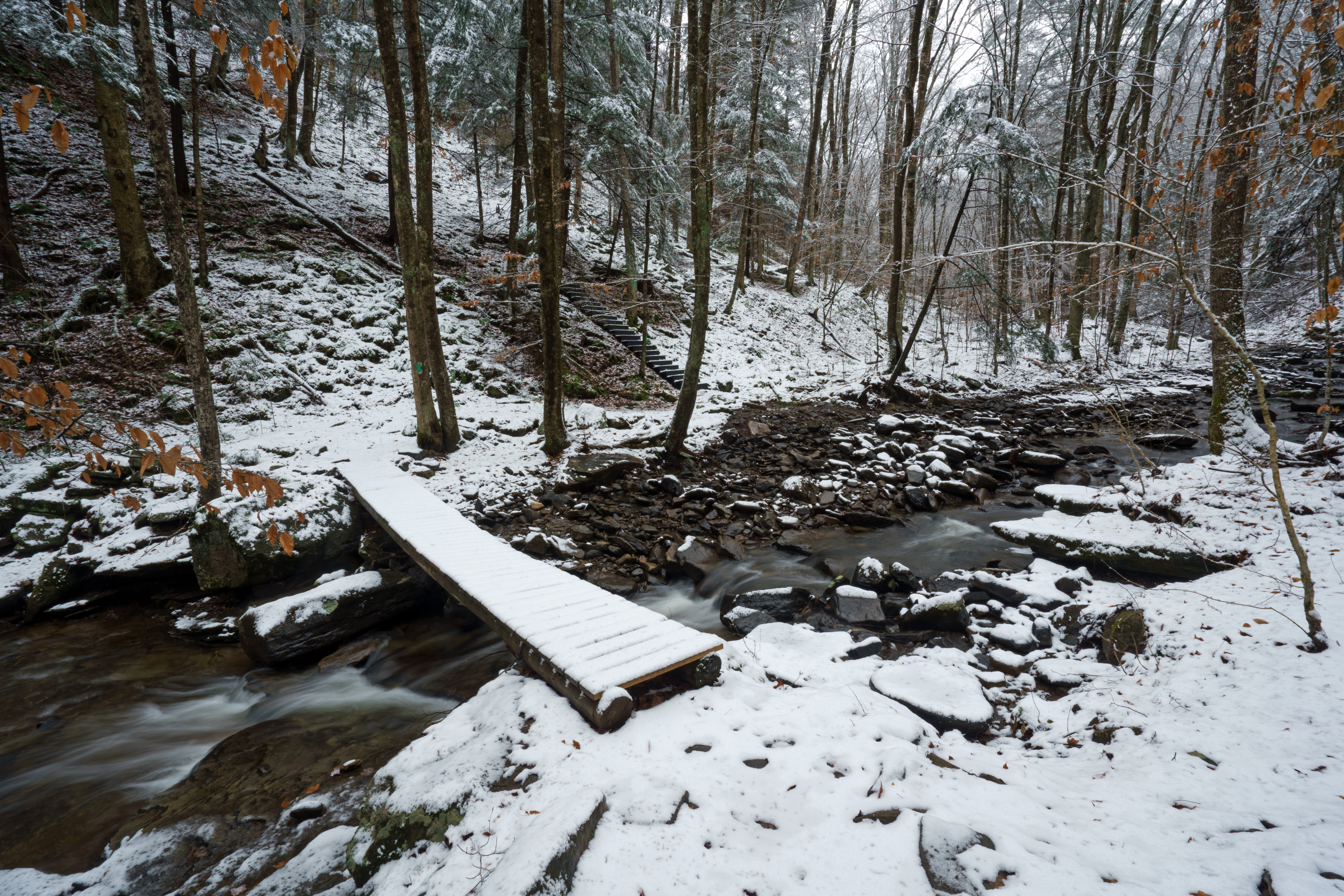 Double Run Nature Trail