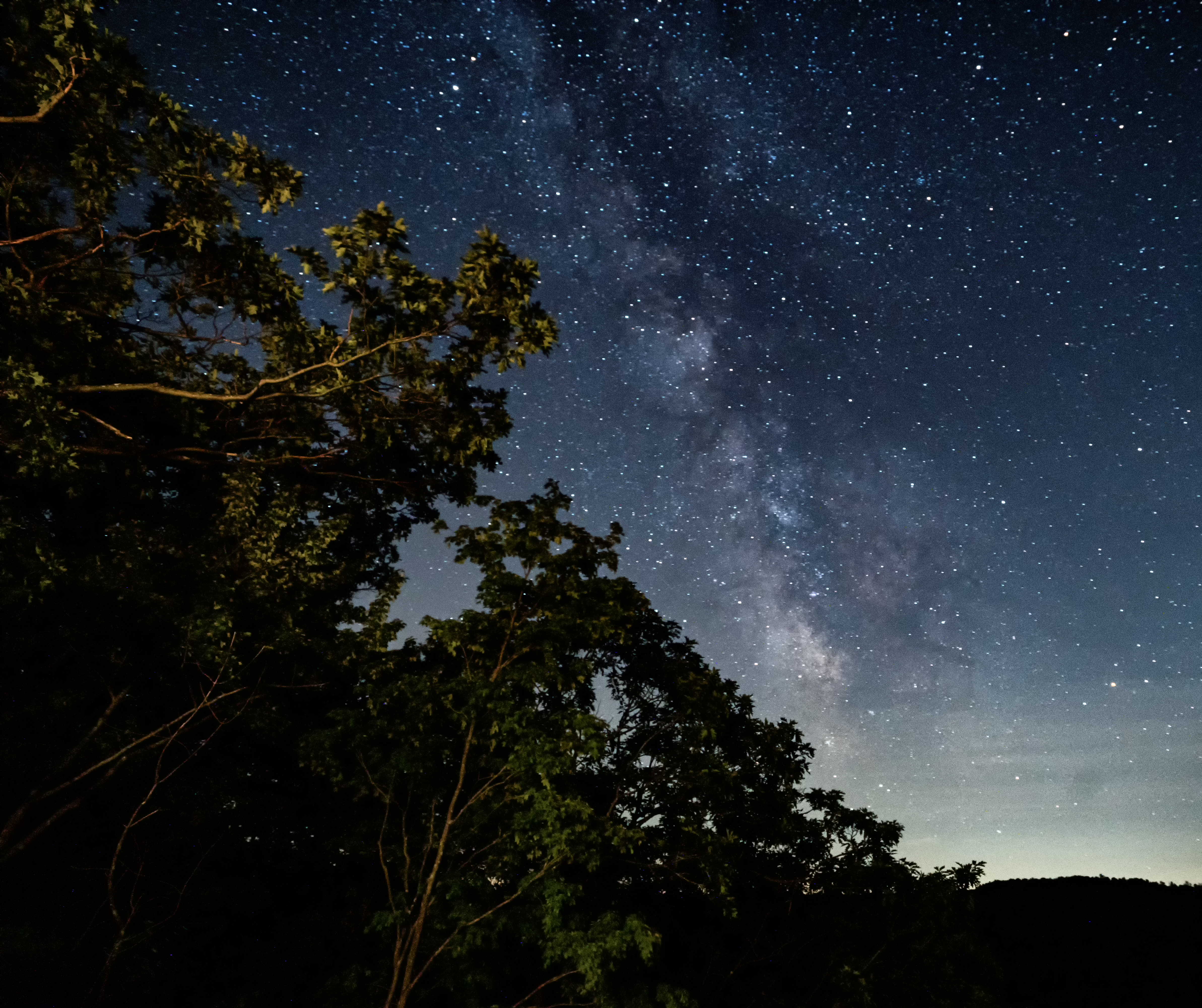 Loyalsock Trail