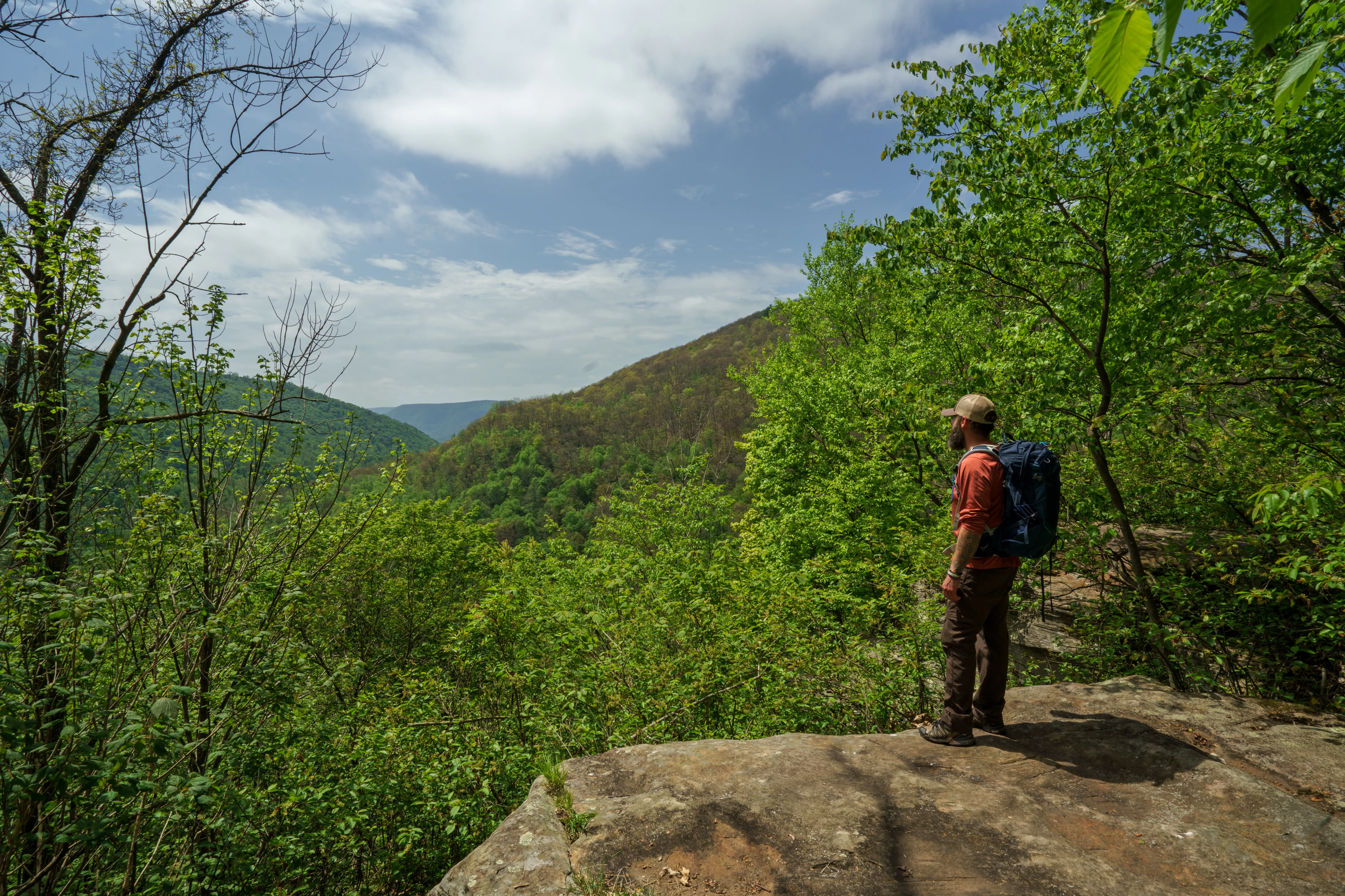Loyalsock Trail