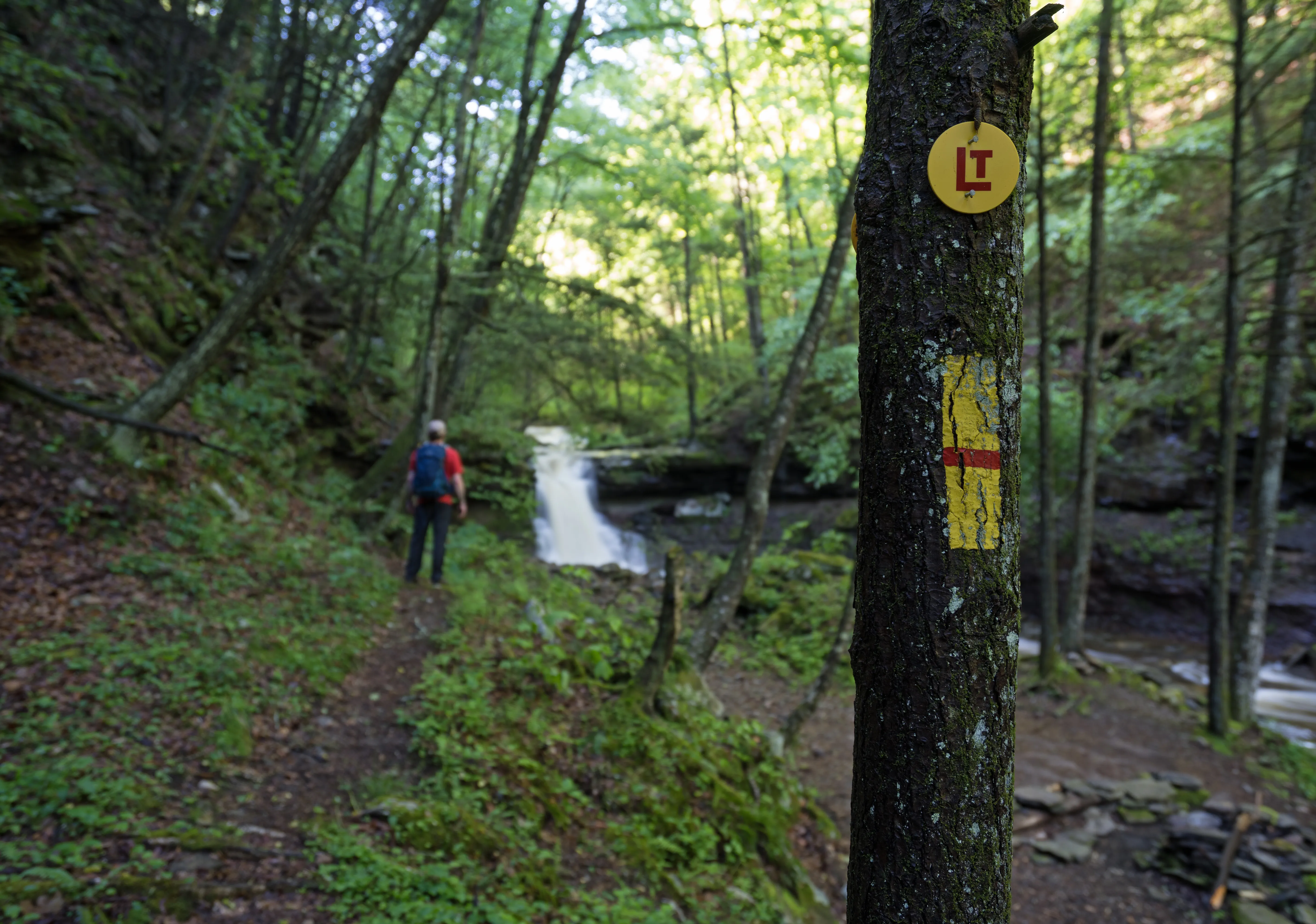 Loyalsock Trail