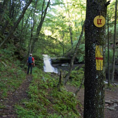 Loyalsock Trail