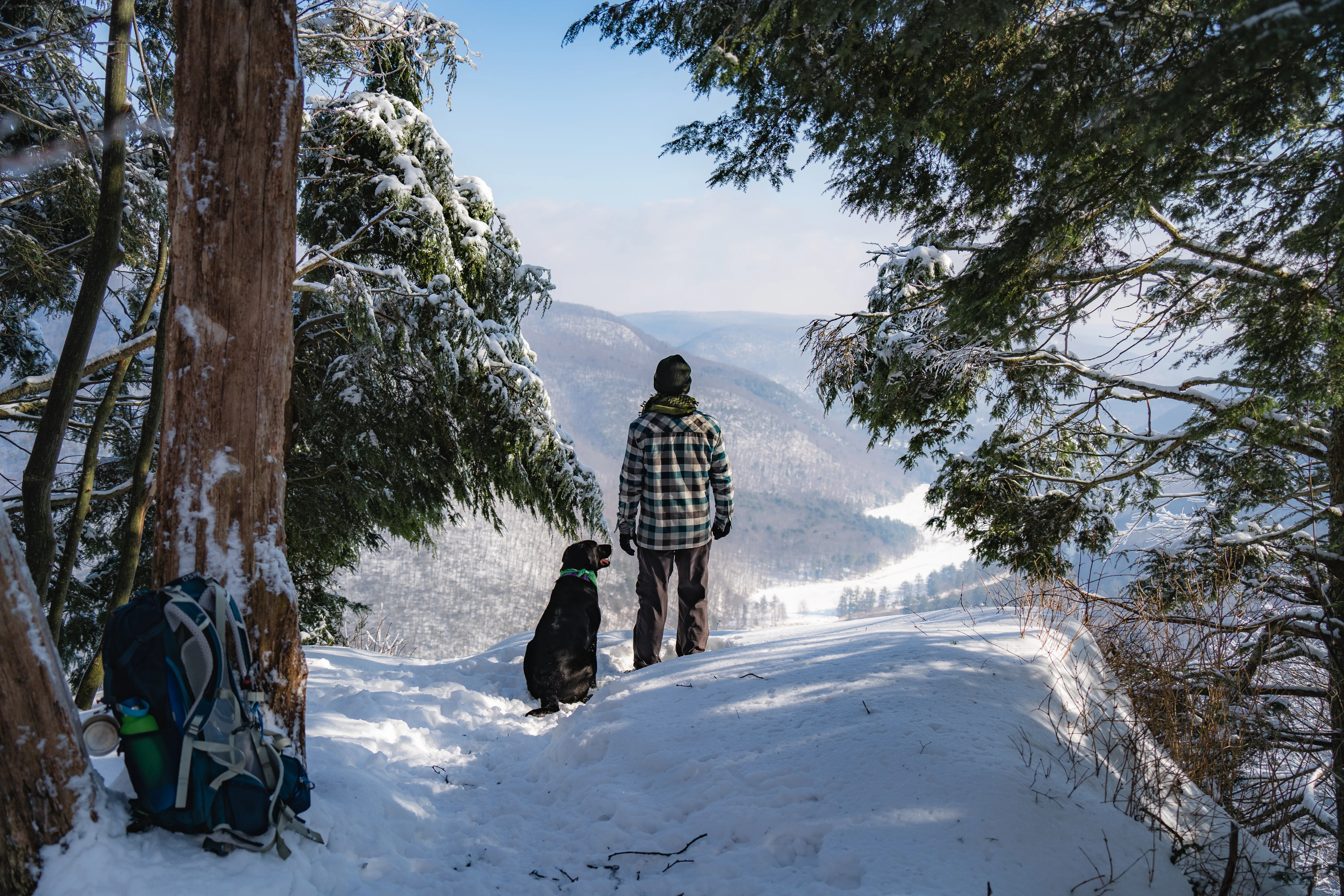 Loyalsock Trail