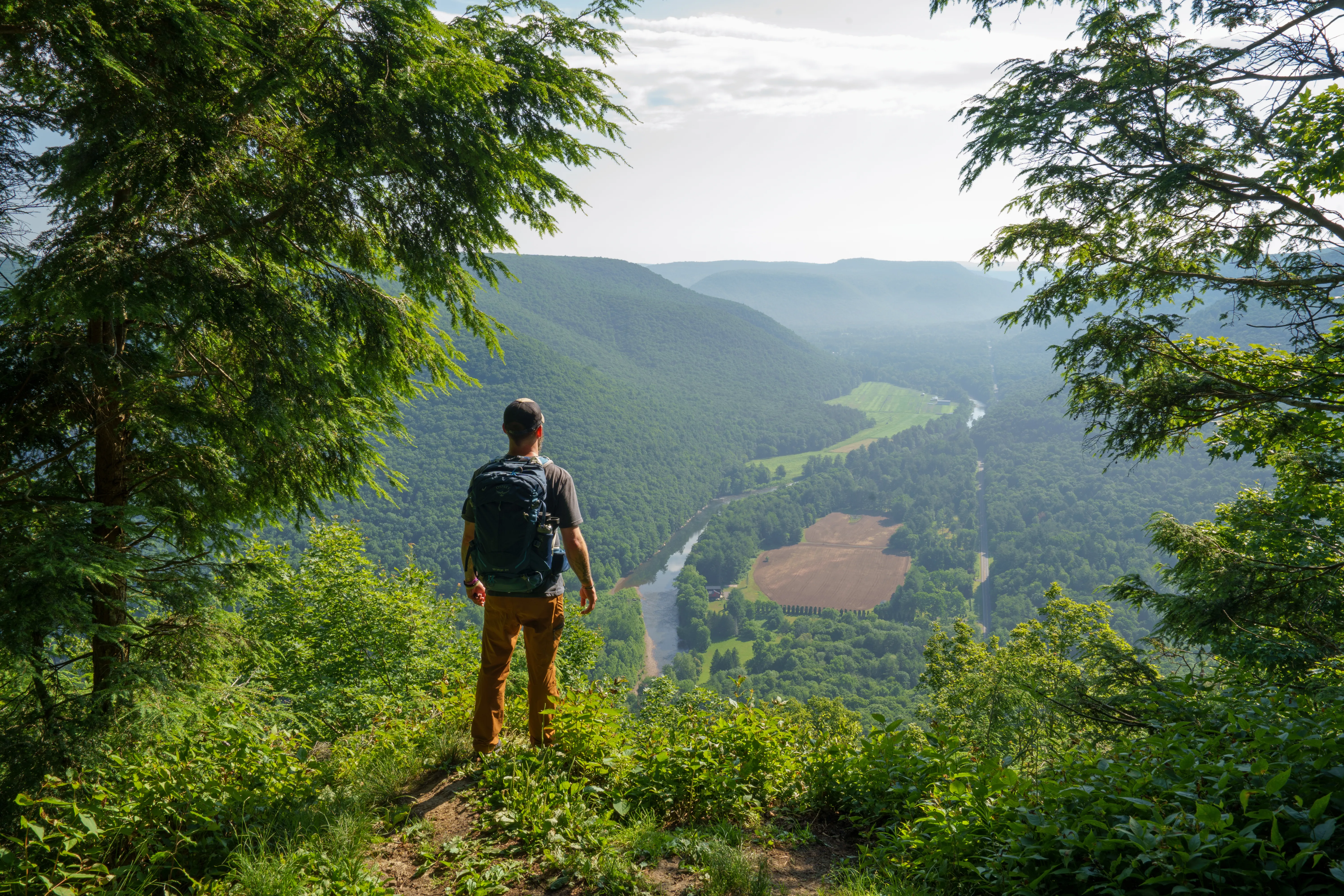 Loyalsock Trail