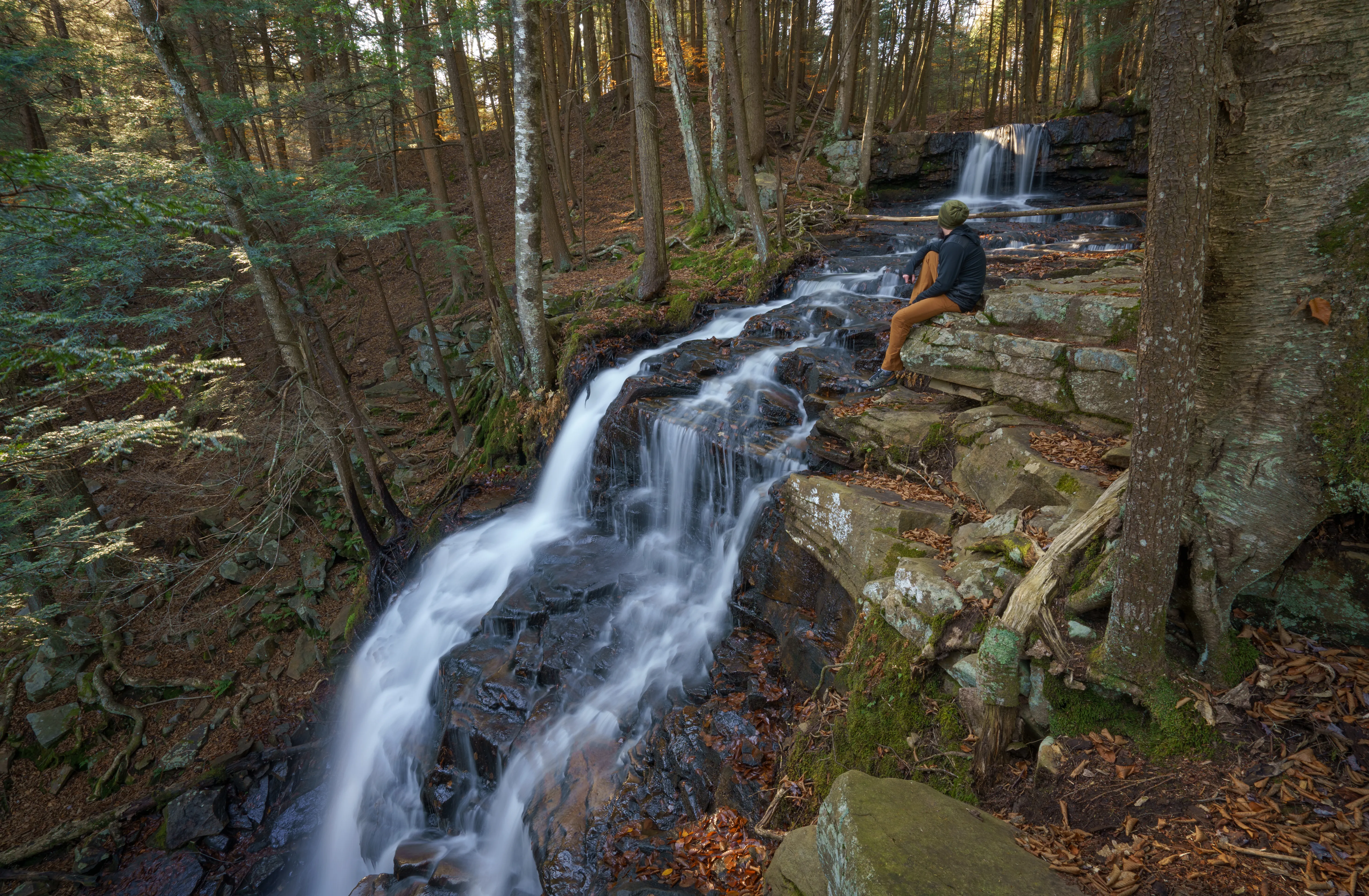 Loyalsock Trail