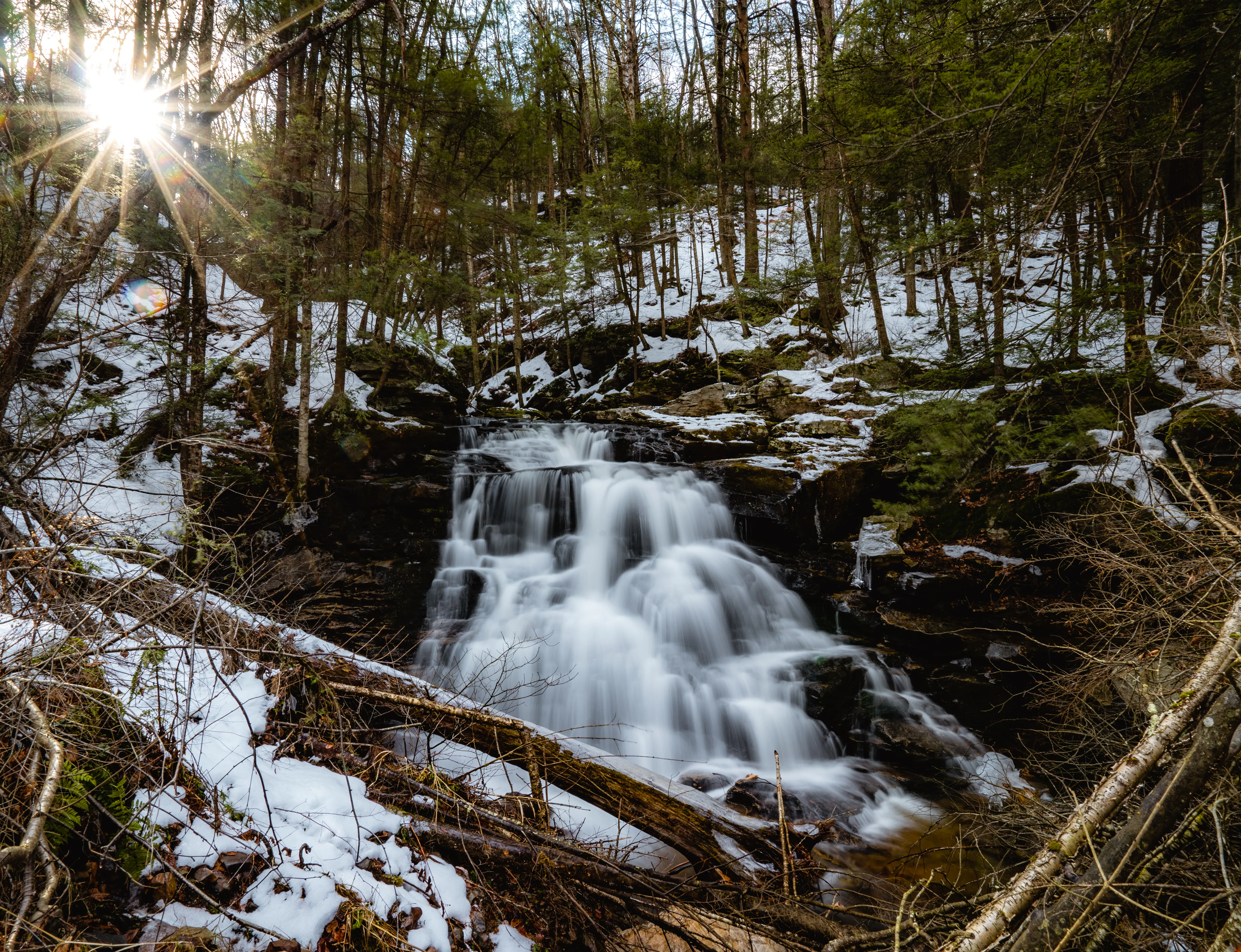 Loyalsock Trail