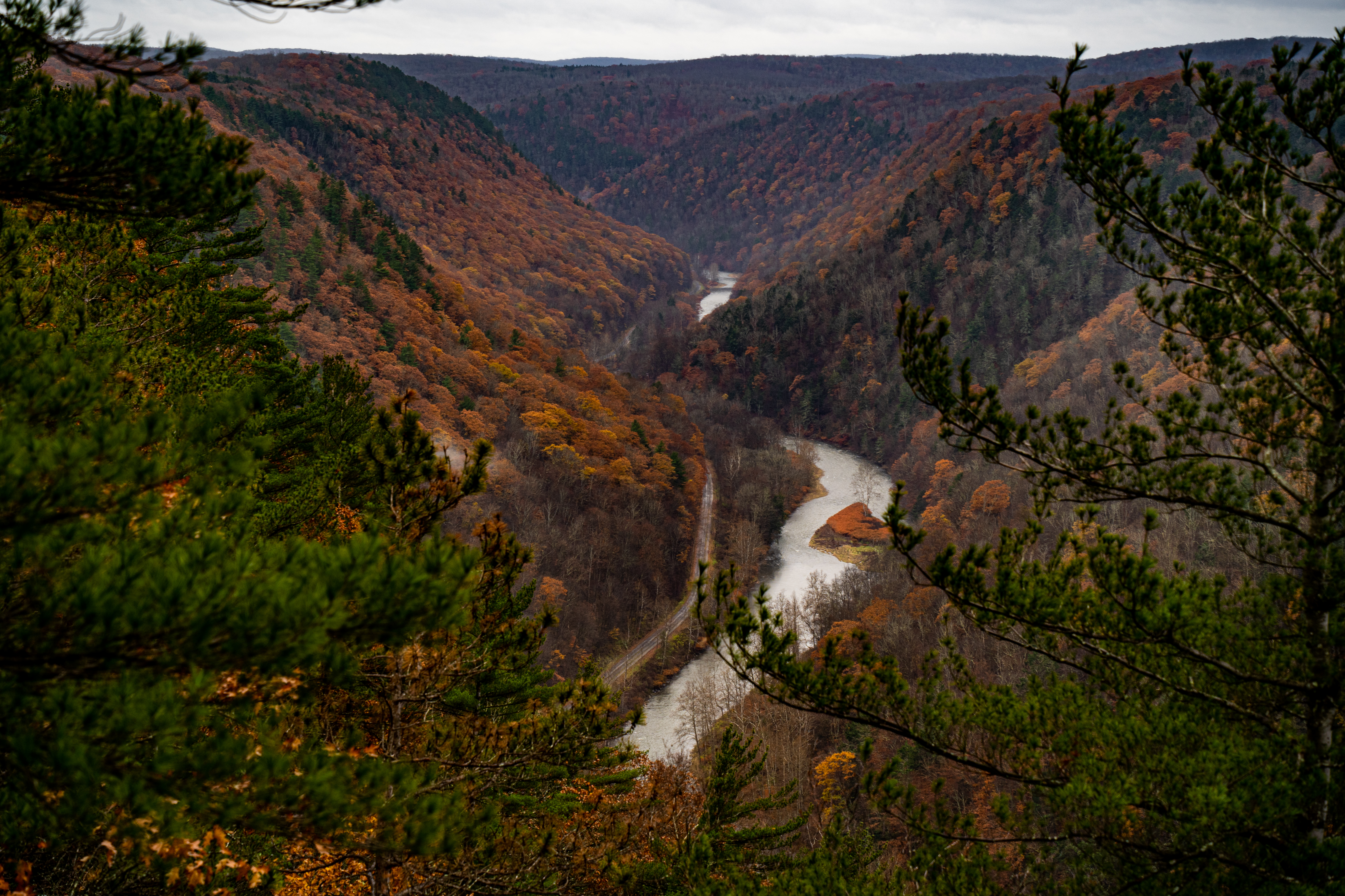 Grand Canyon of Pennsylvania Overlook Trail
