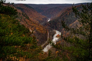 Grand Canyon of Pennsylvania Overlook Trail