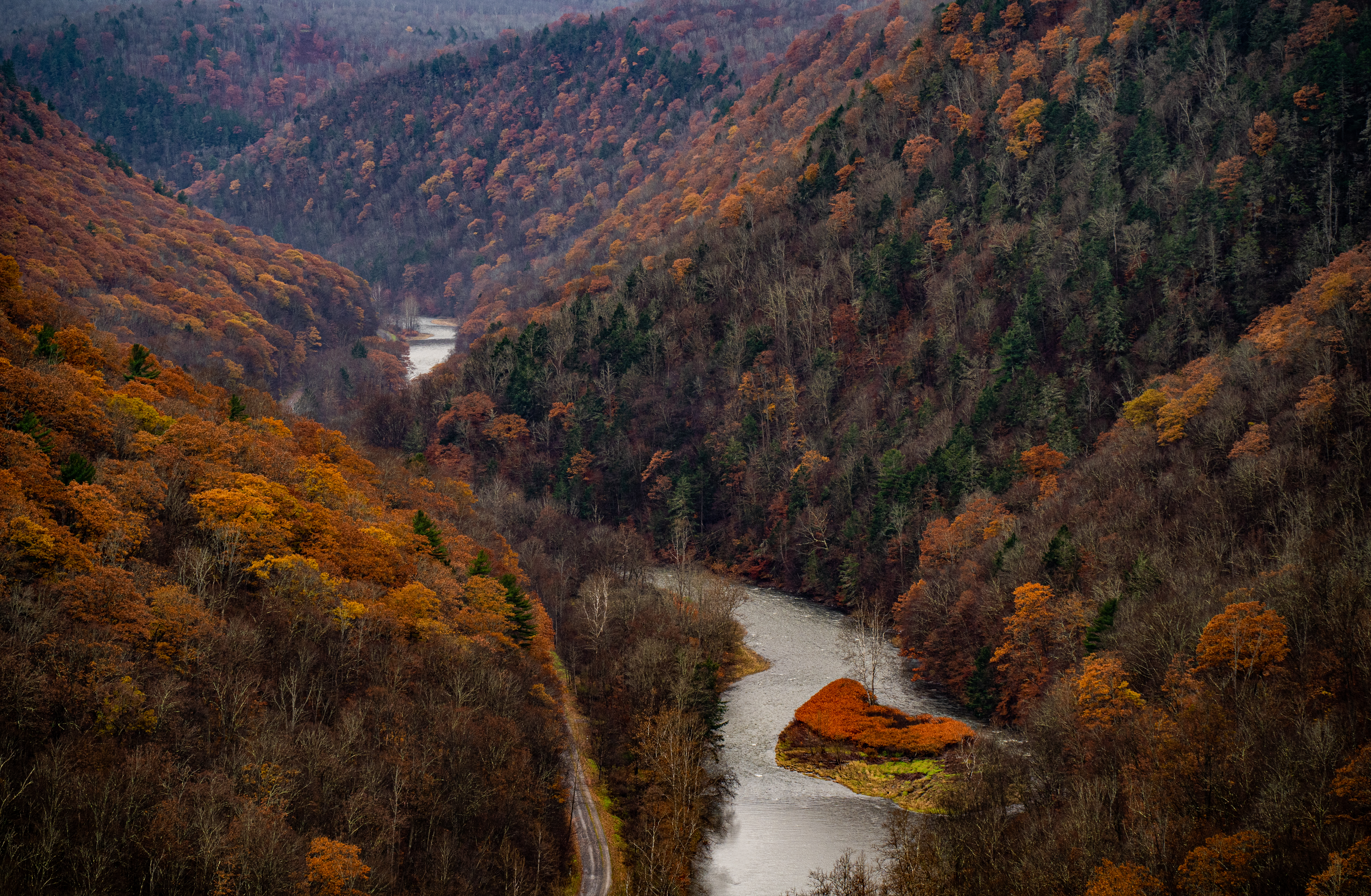 Grand Canyon of Pennsylvania Overlook Trail