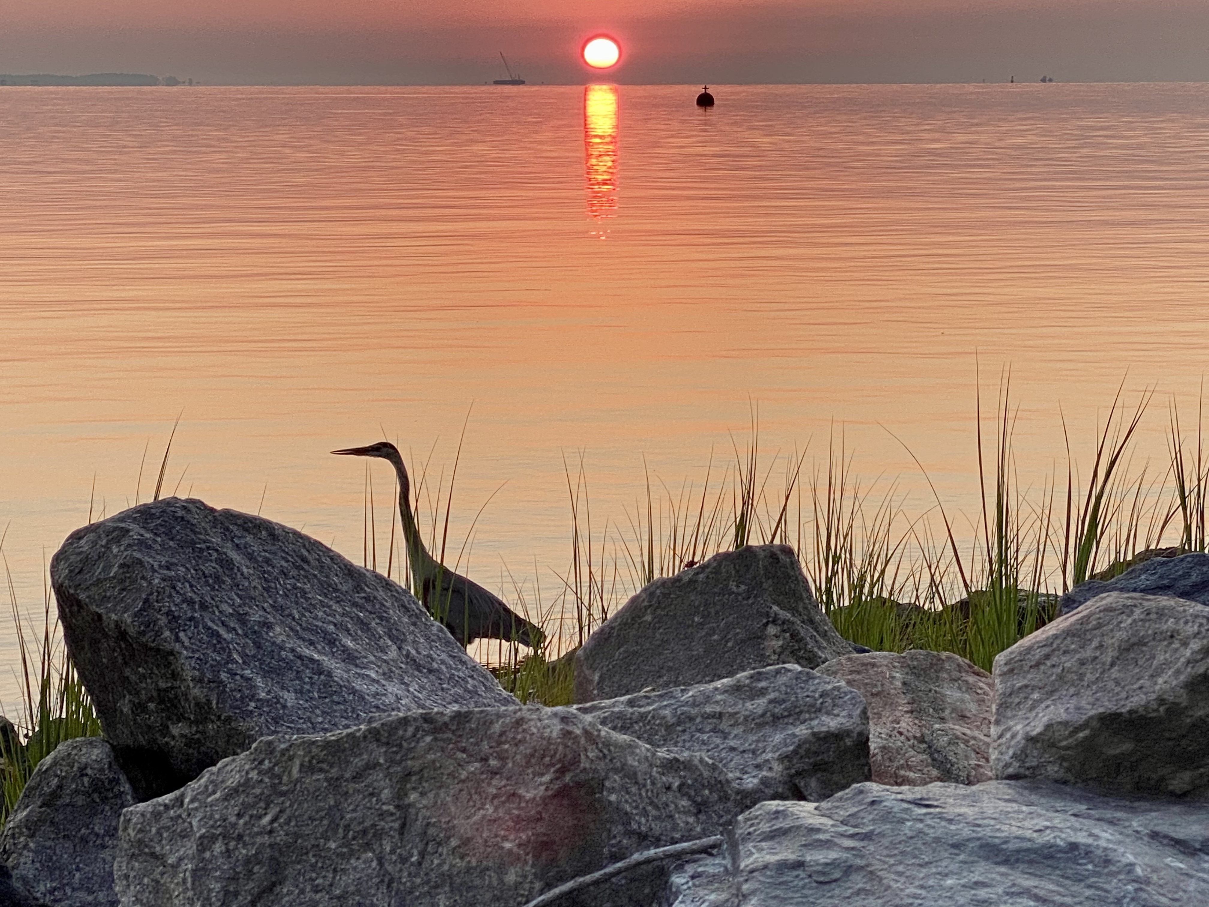 Photograph Yorktown Beach