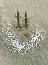 Peter Iredale Trail