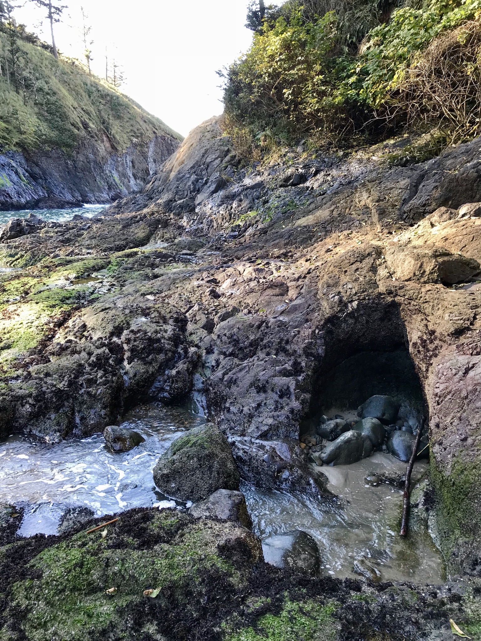 Cape Disappointment Trail