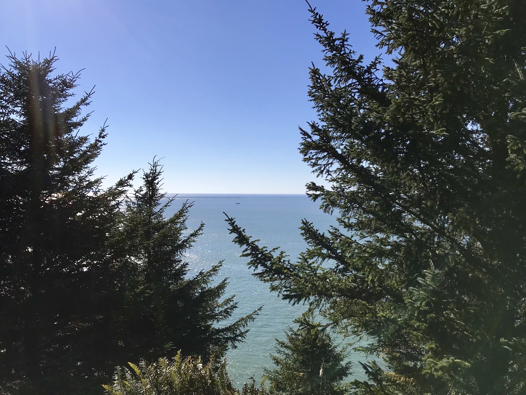 Cape Disappointment Trail