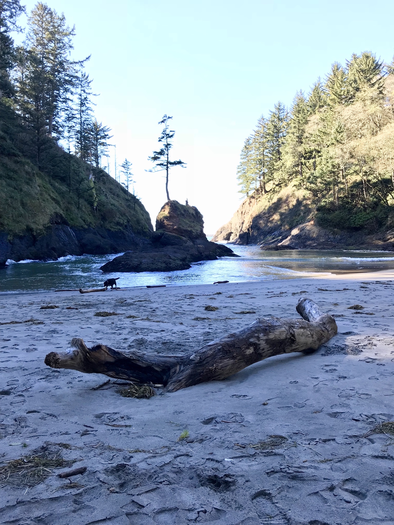 Cape Disappointment Trail