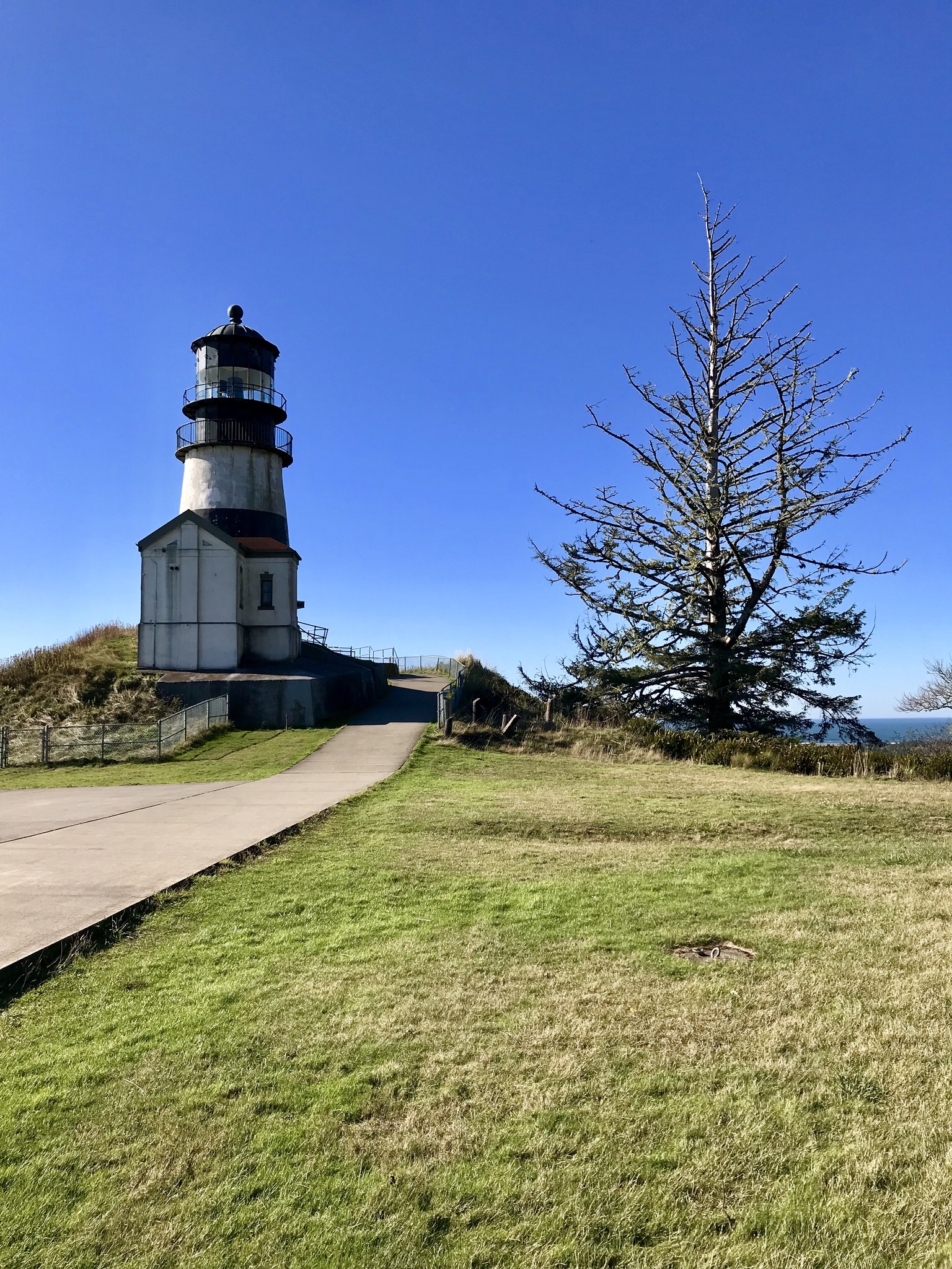Cape Disappointment Trail