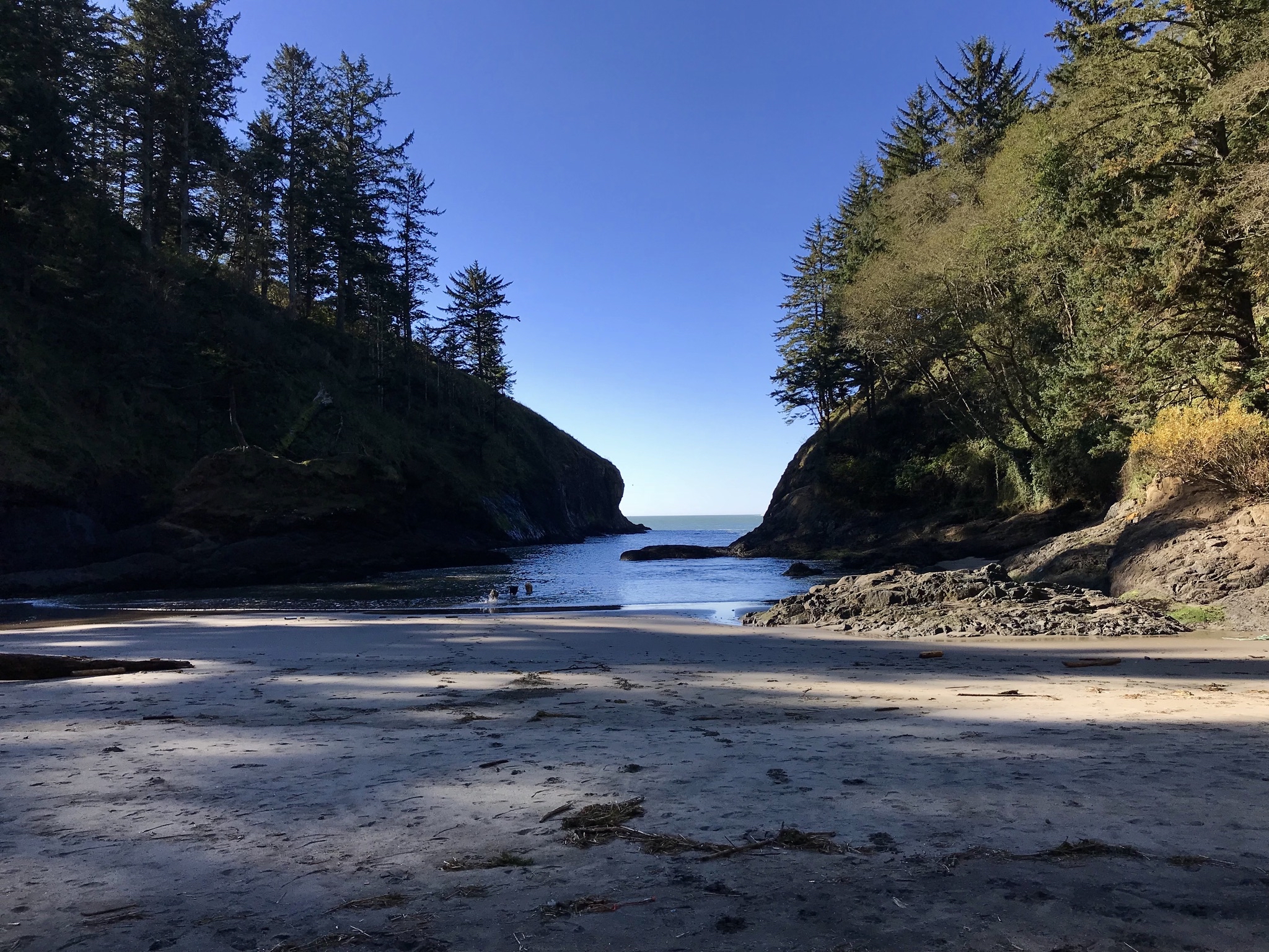 Cape Disappointment Trail