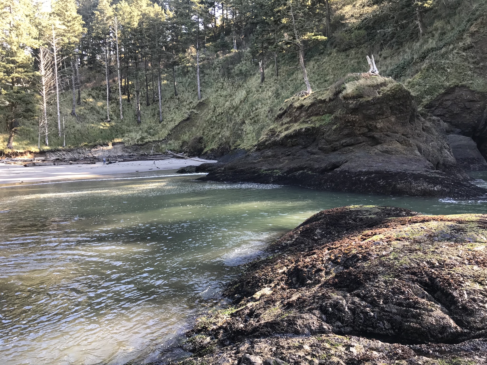 Cape Disappointment Trail