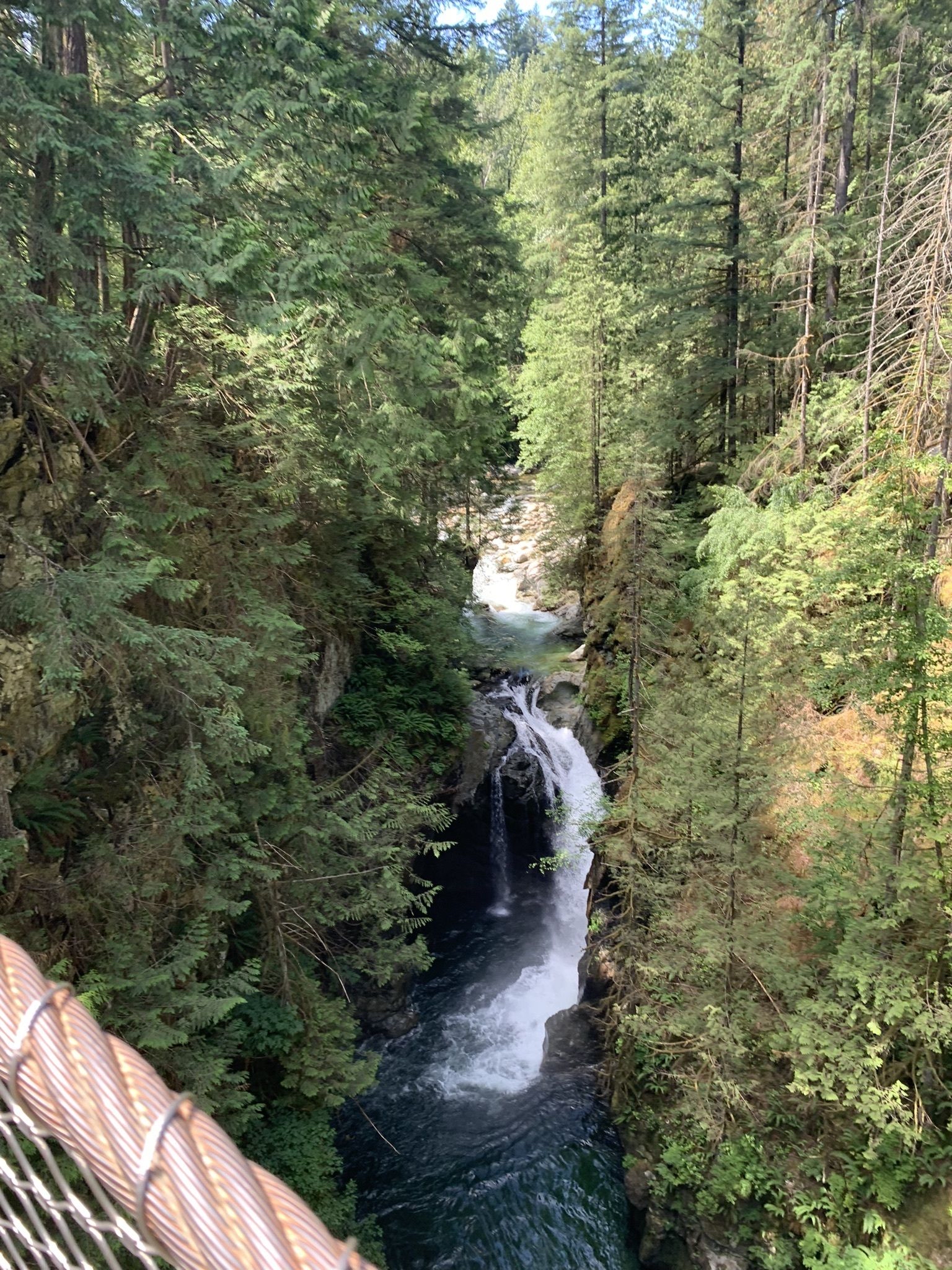 Lynn Canyon Suspension Bridge
