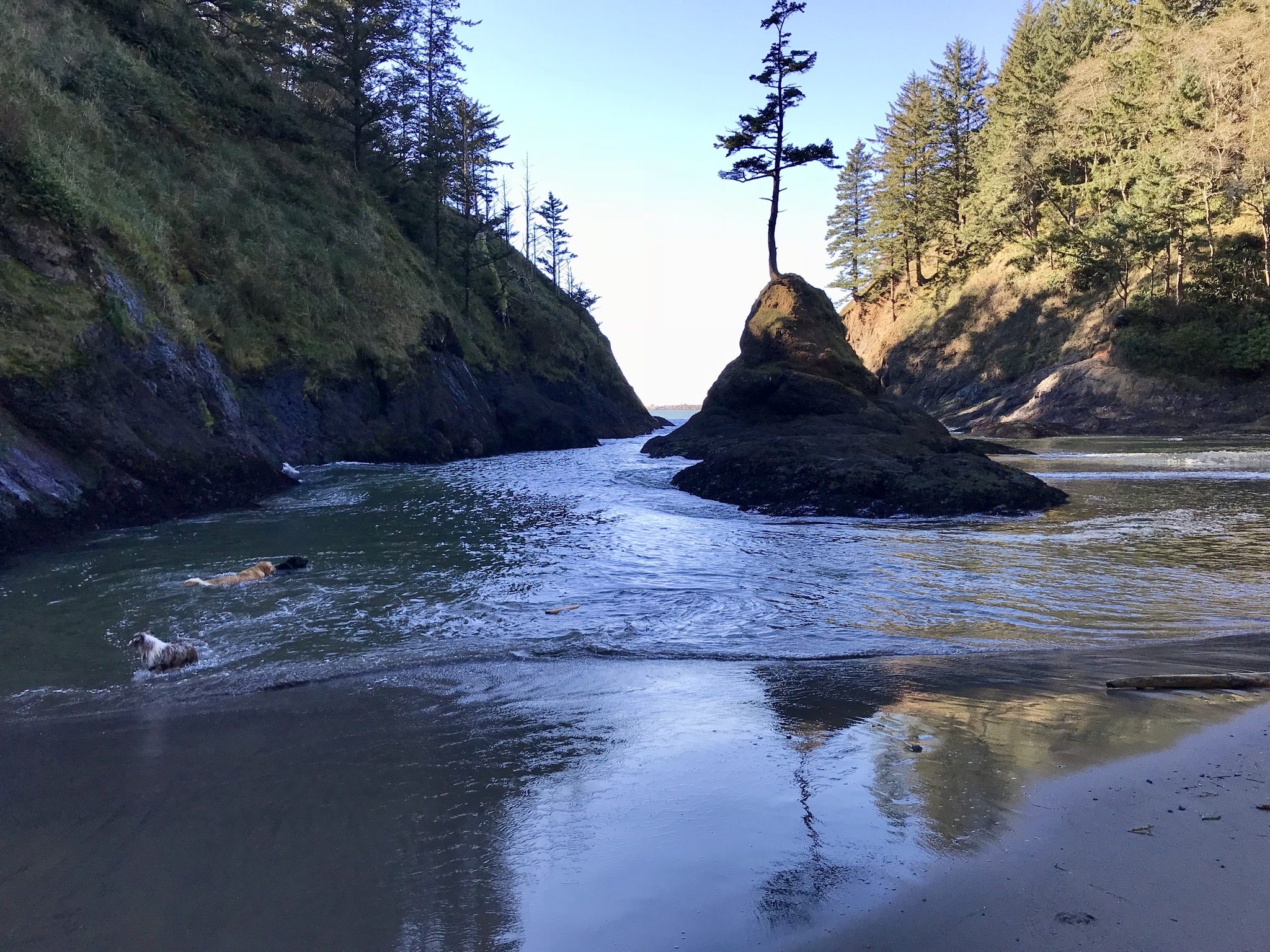Cape Disappointment Trail